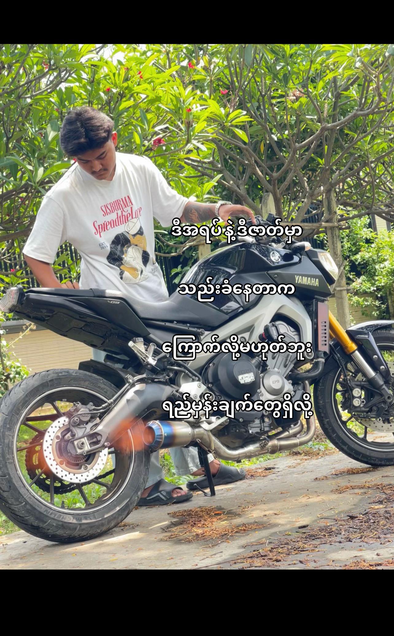 @Han Gyi 🚀