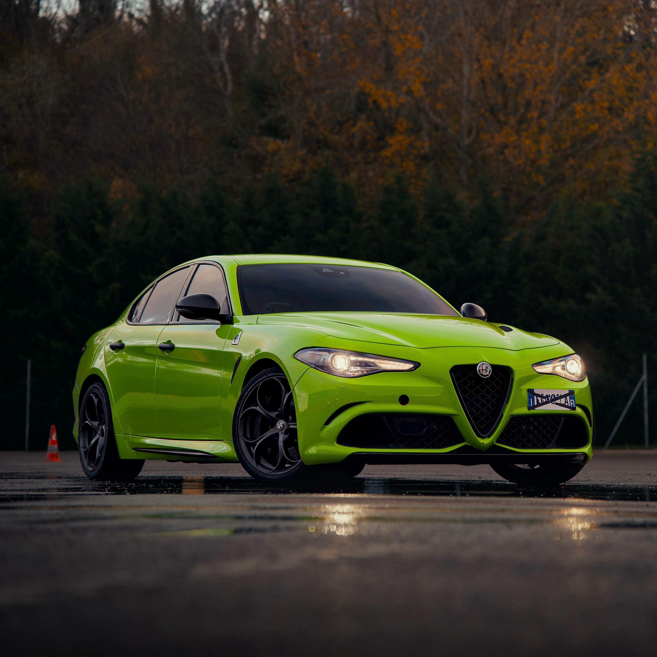 @elitealfisticlubofficial