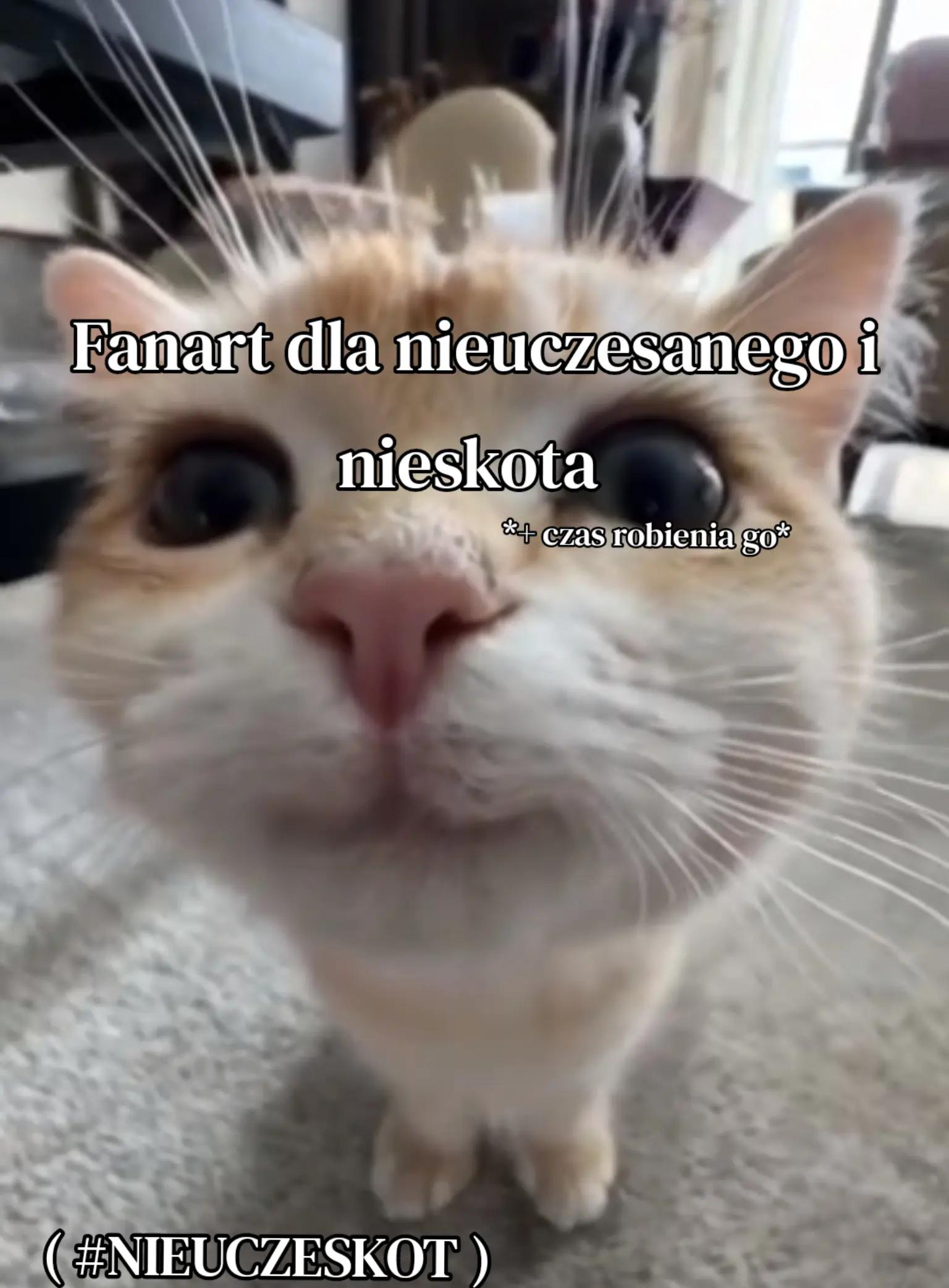 @<Pandka_Stafsona>