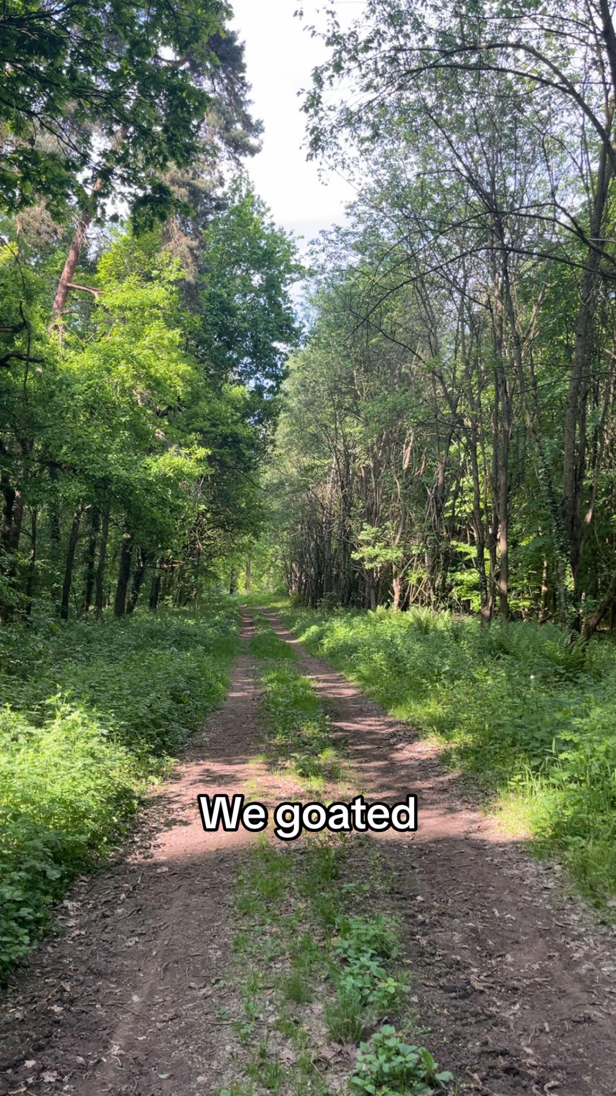 @David🇷🇴