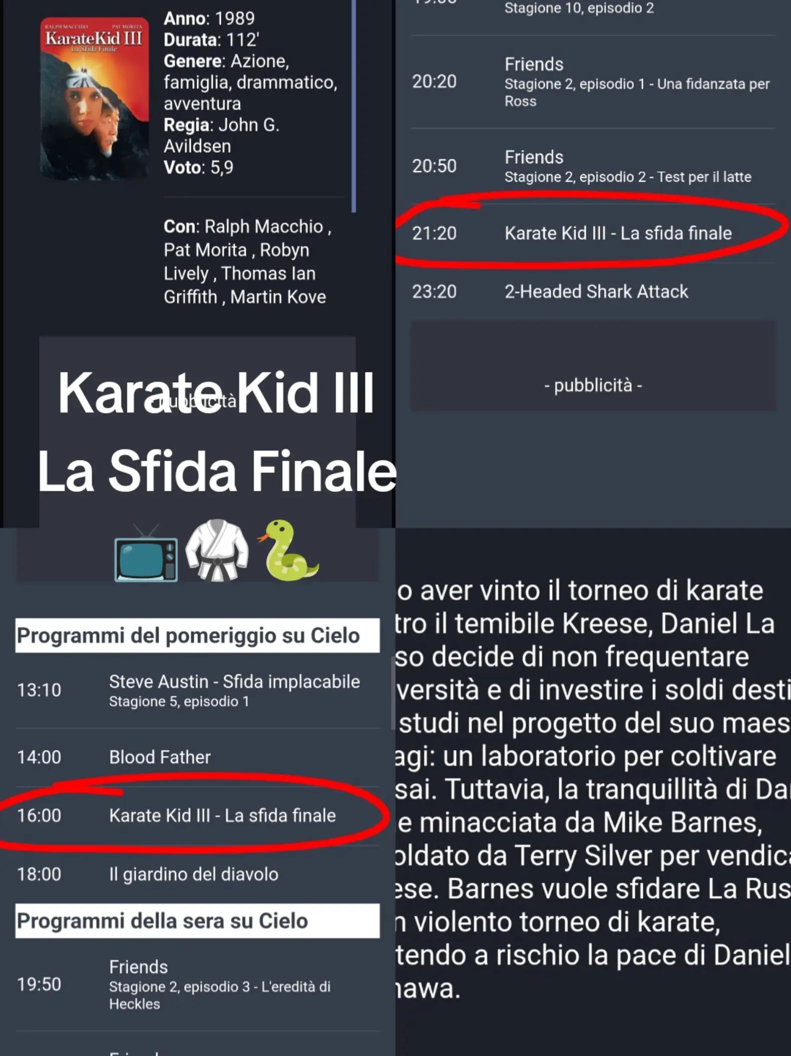 @Cobra Kai