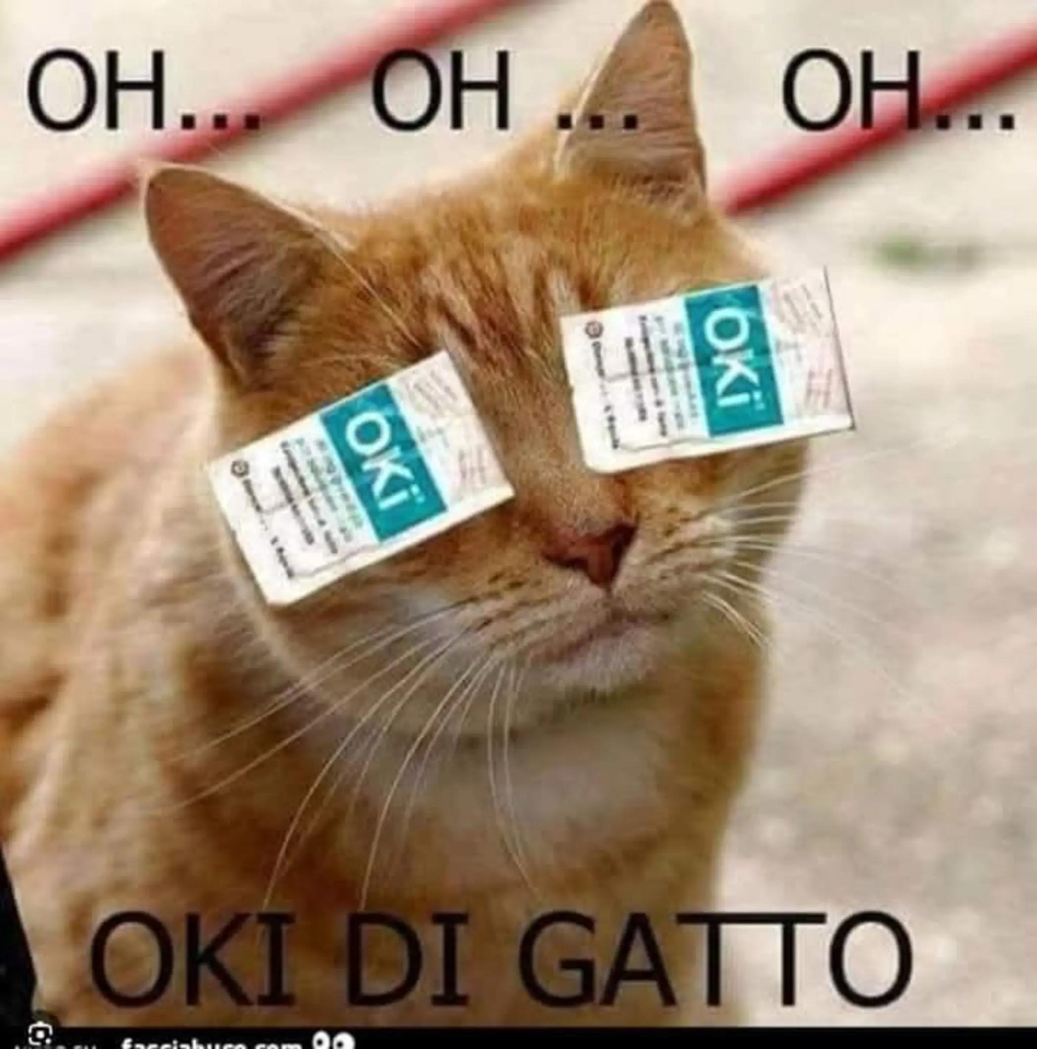 @ZiaNat69