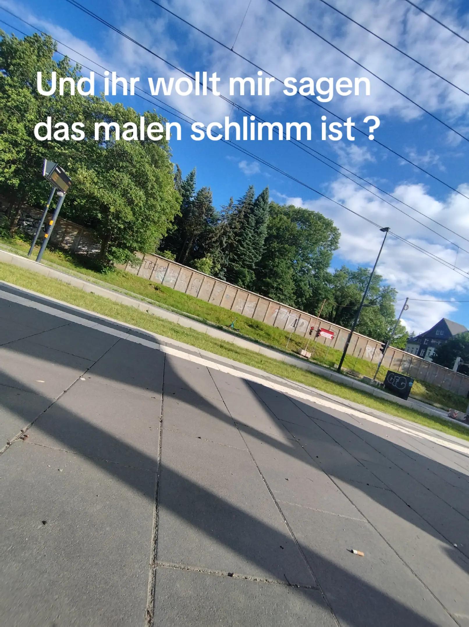 @finnley_cmz💨