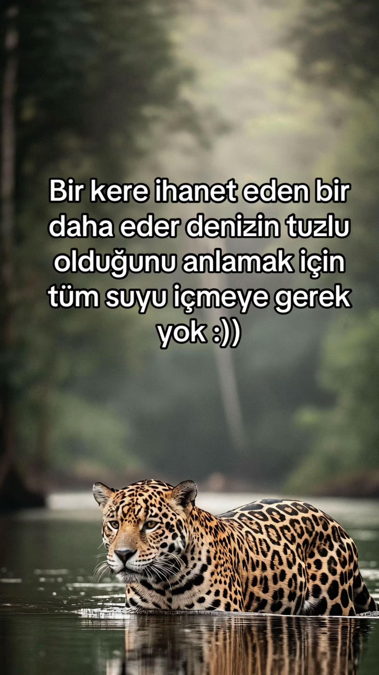 @sᴇғᴀ ᴅᴏ̈ɴᴍᴇᴢ