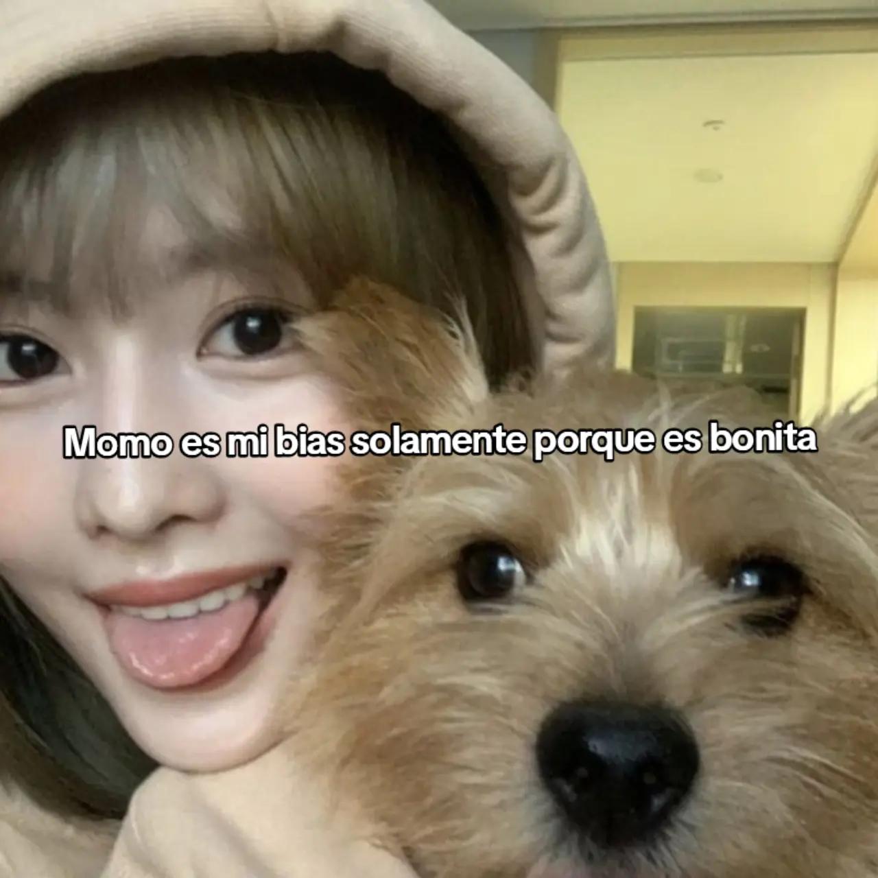 @&bull;        𝑺arah      ୨ৎ