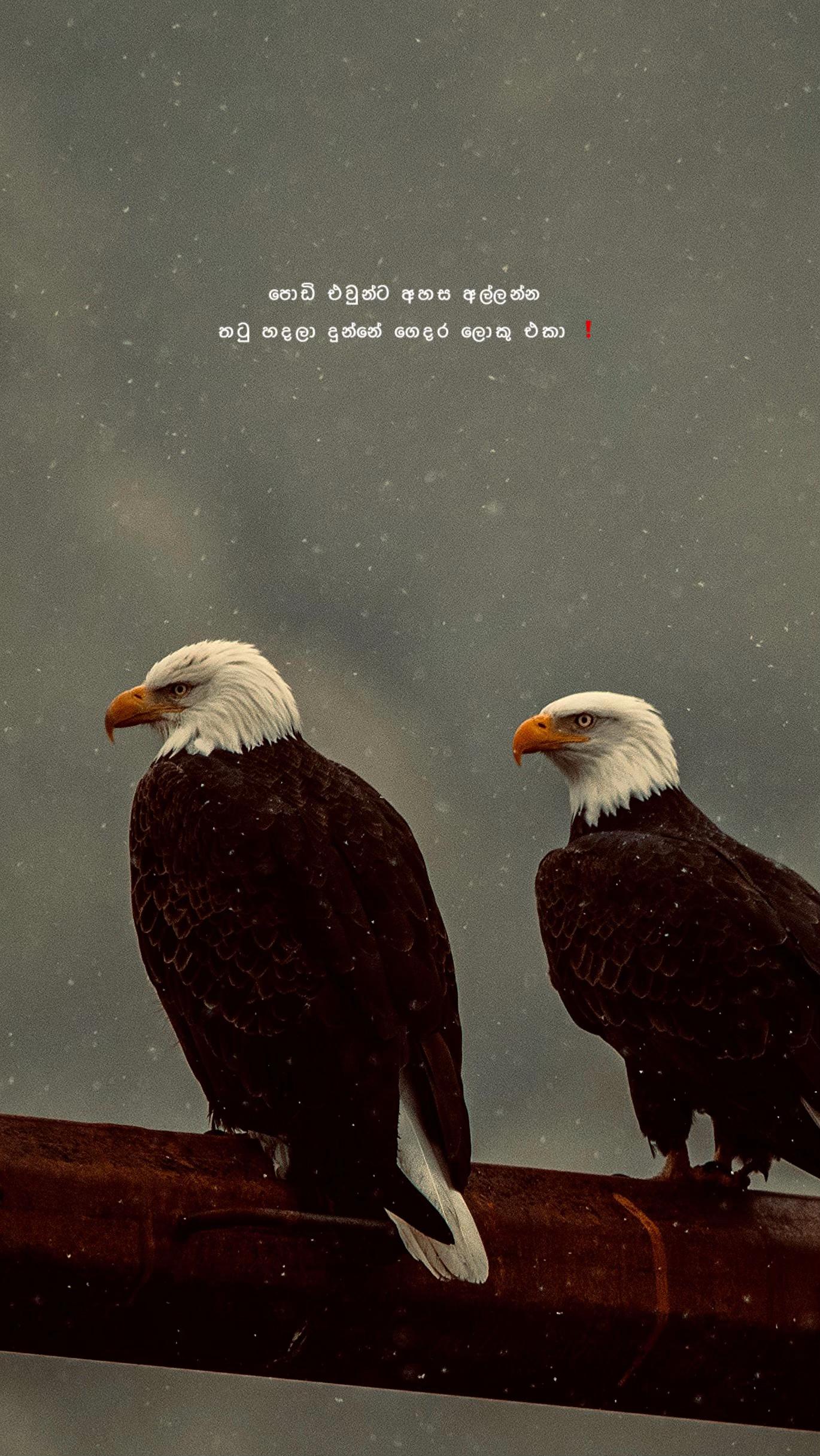 @Diary of Ravindu ๐๐๐จ"