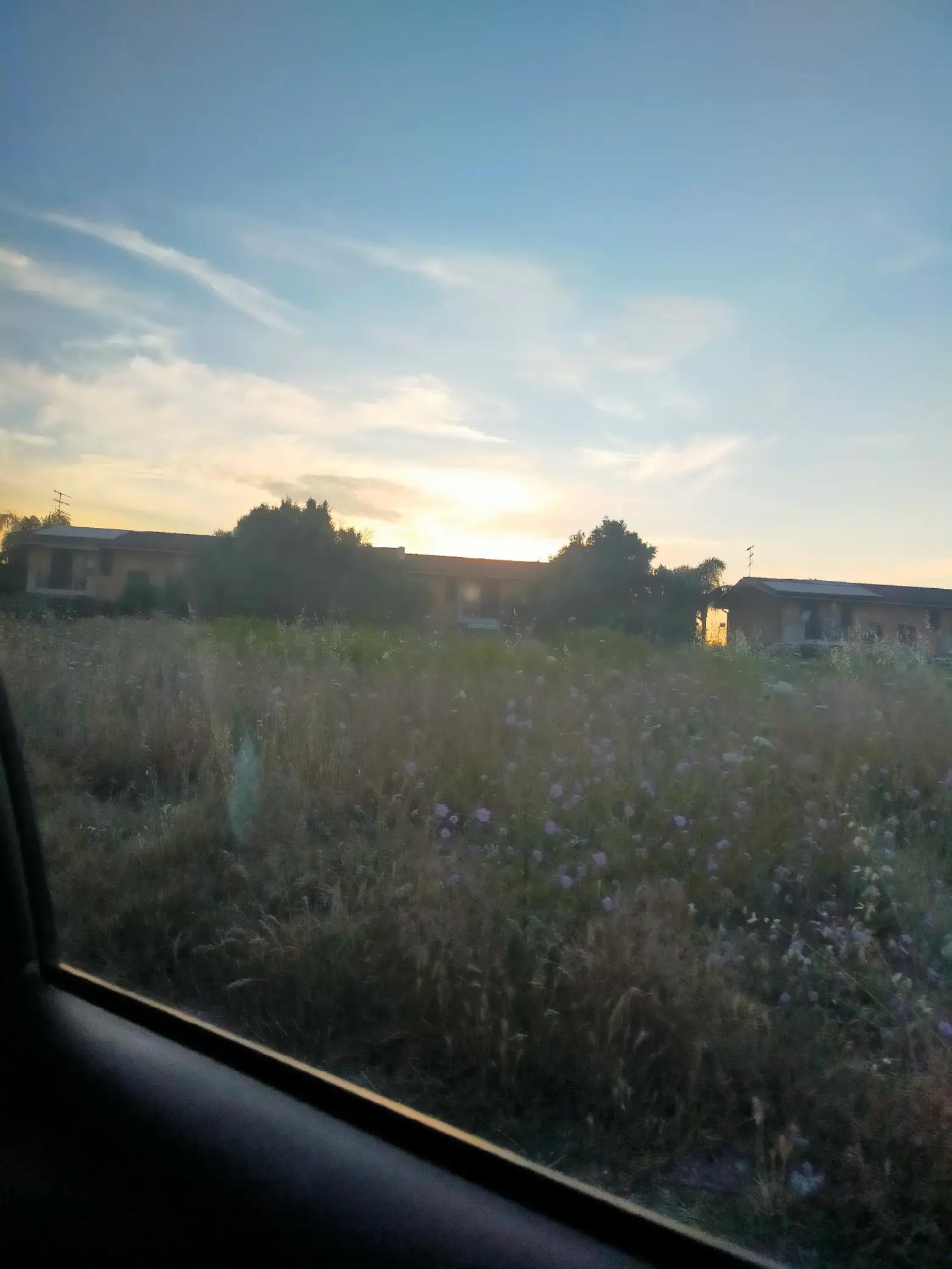@Sofia Di Vita_