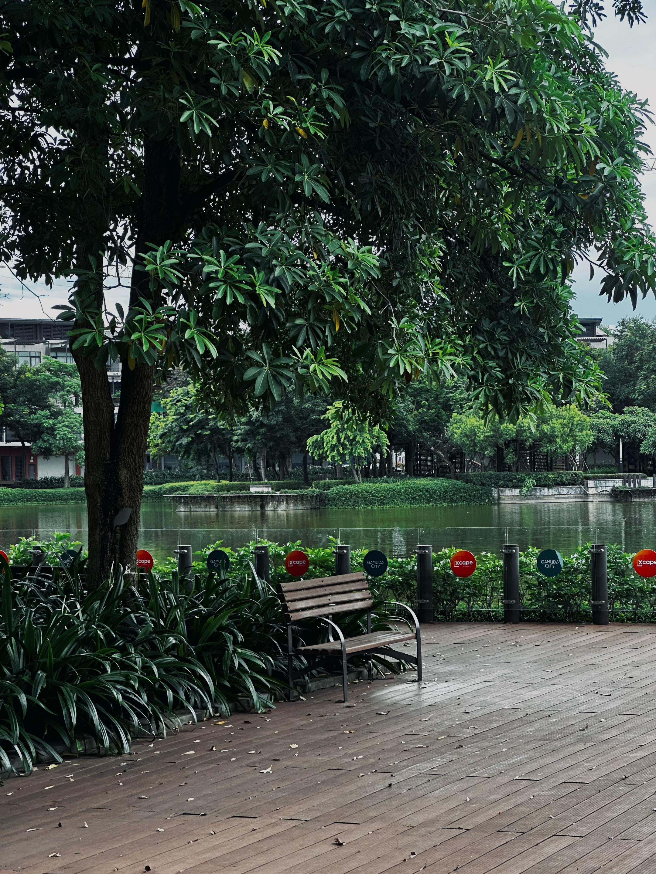 @Nguyễn Đăng Mạnh 📸