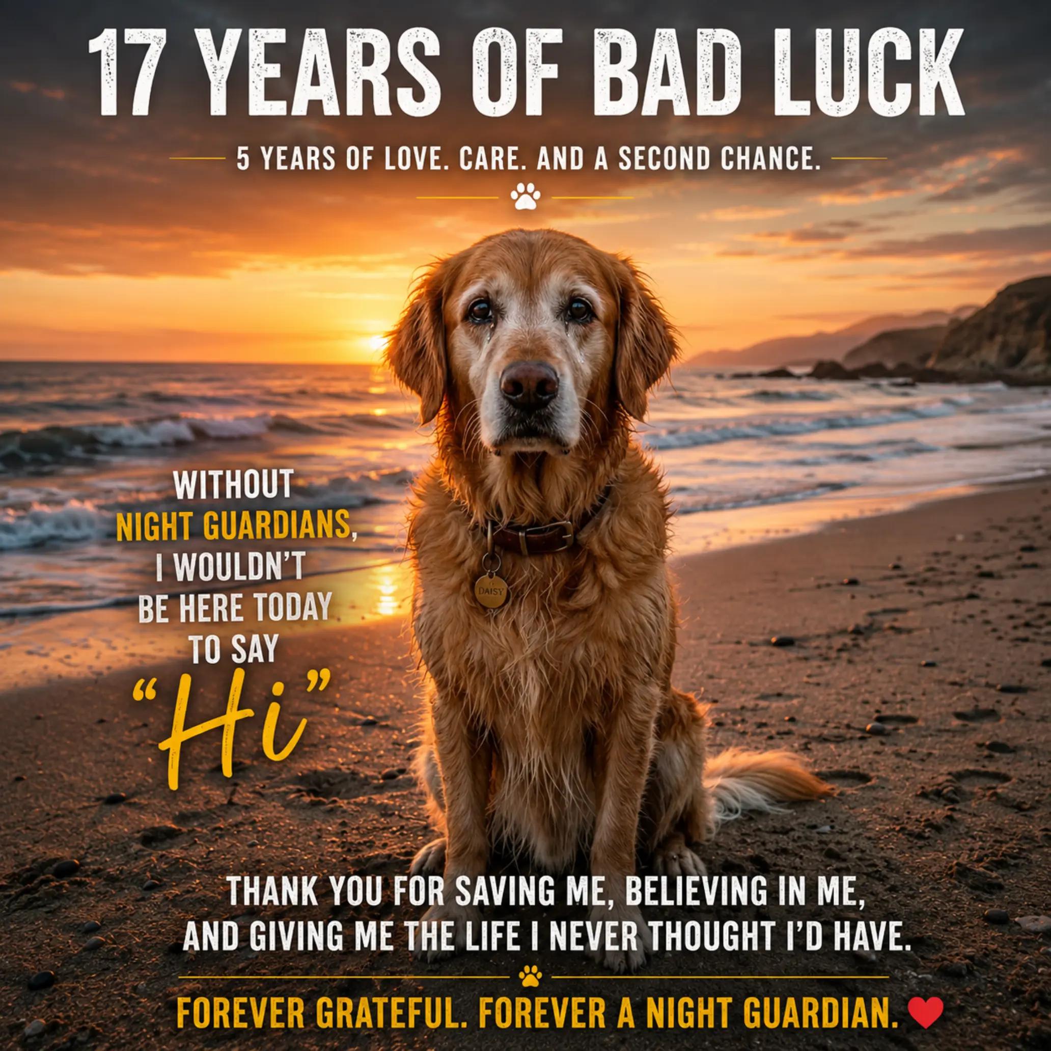 @Petscentralorg DLM Foundation