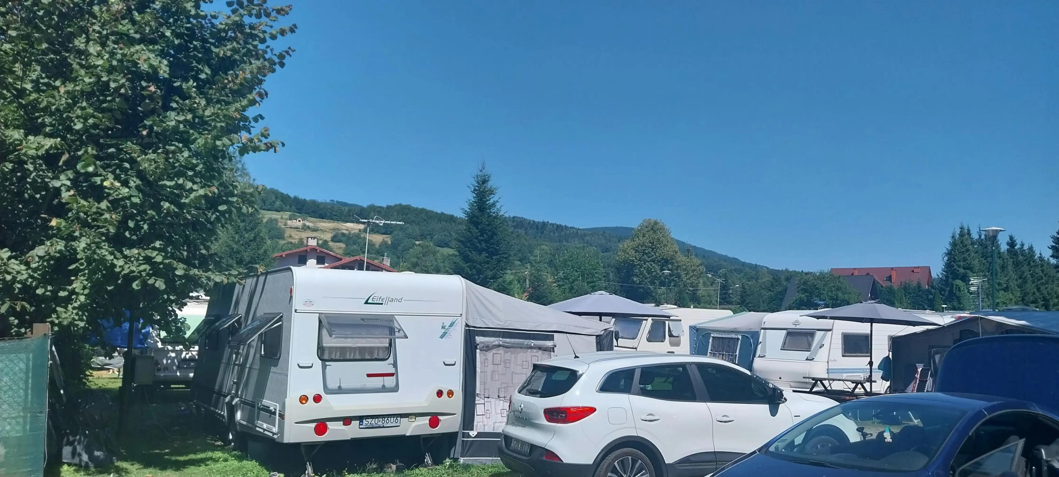 @królik baks
