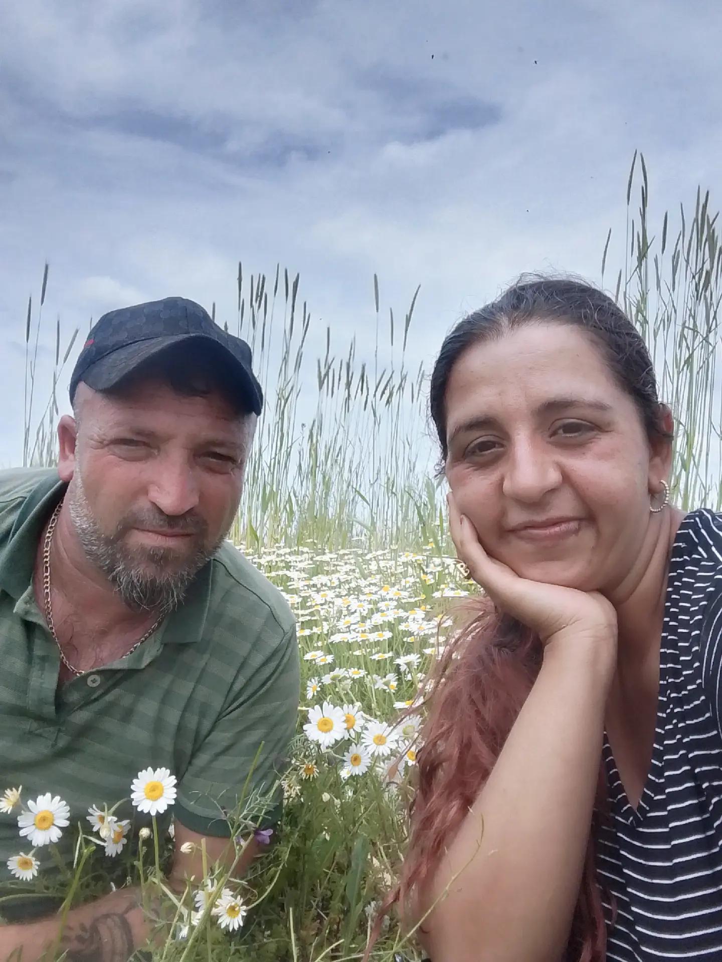 @sarı Kral