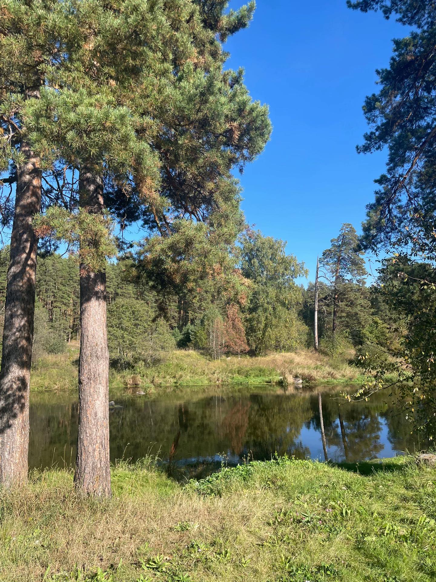 @ell_nature🏴