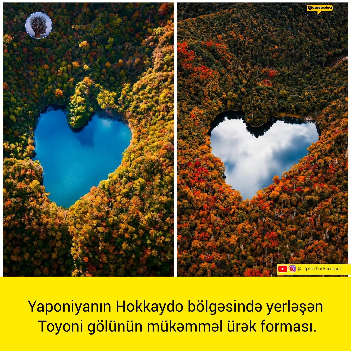 @qeribekainat