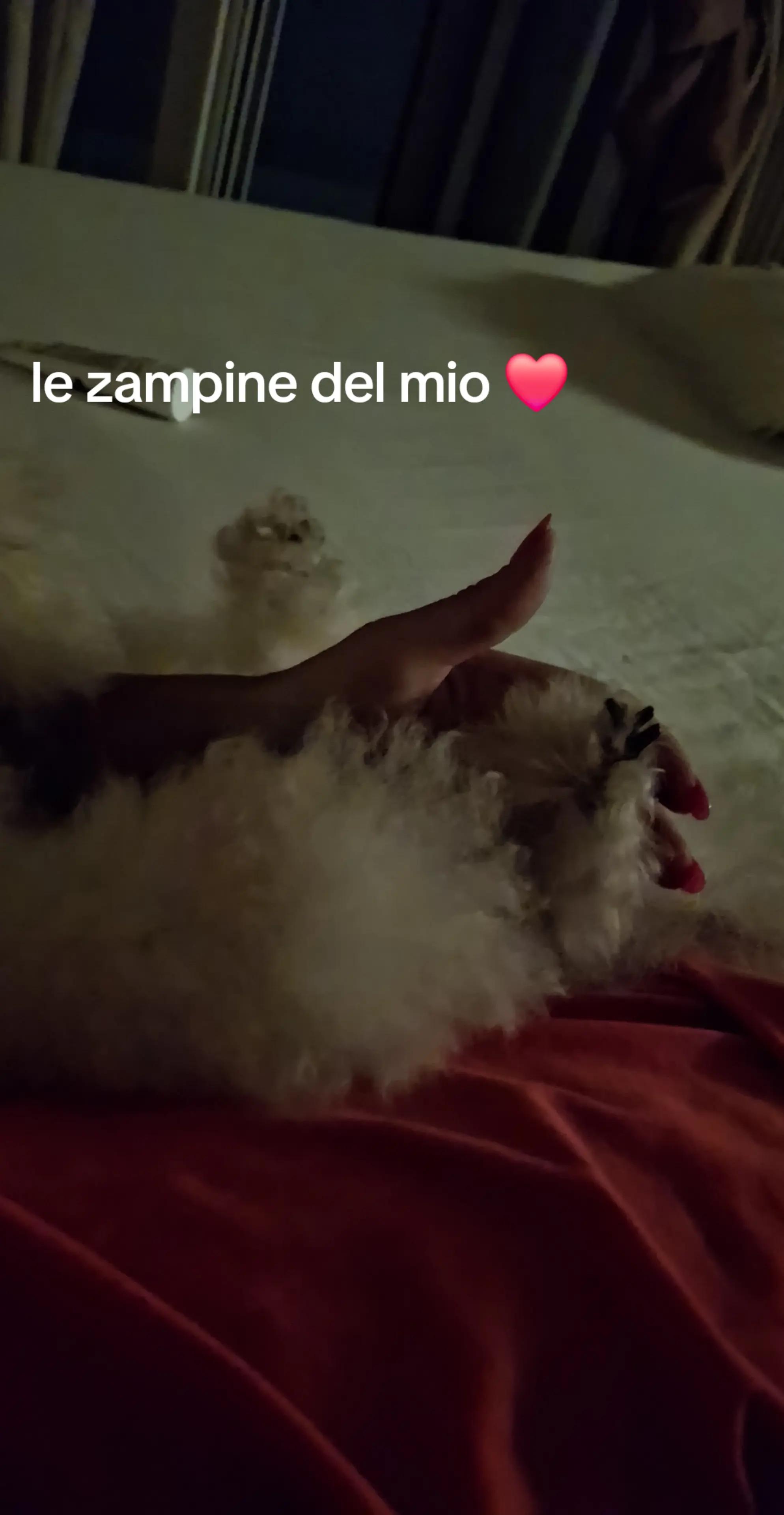 @❤S A R A H❤