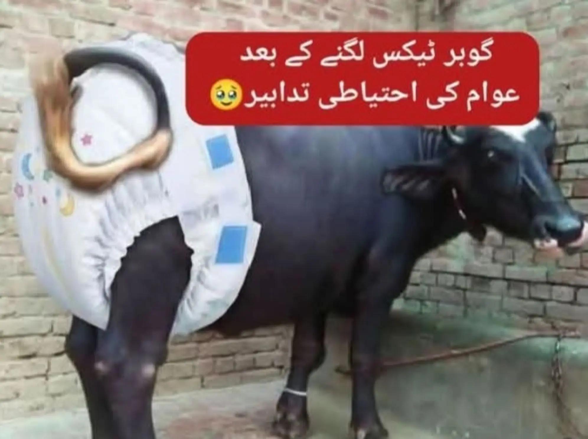 @jatT Brand🥰