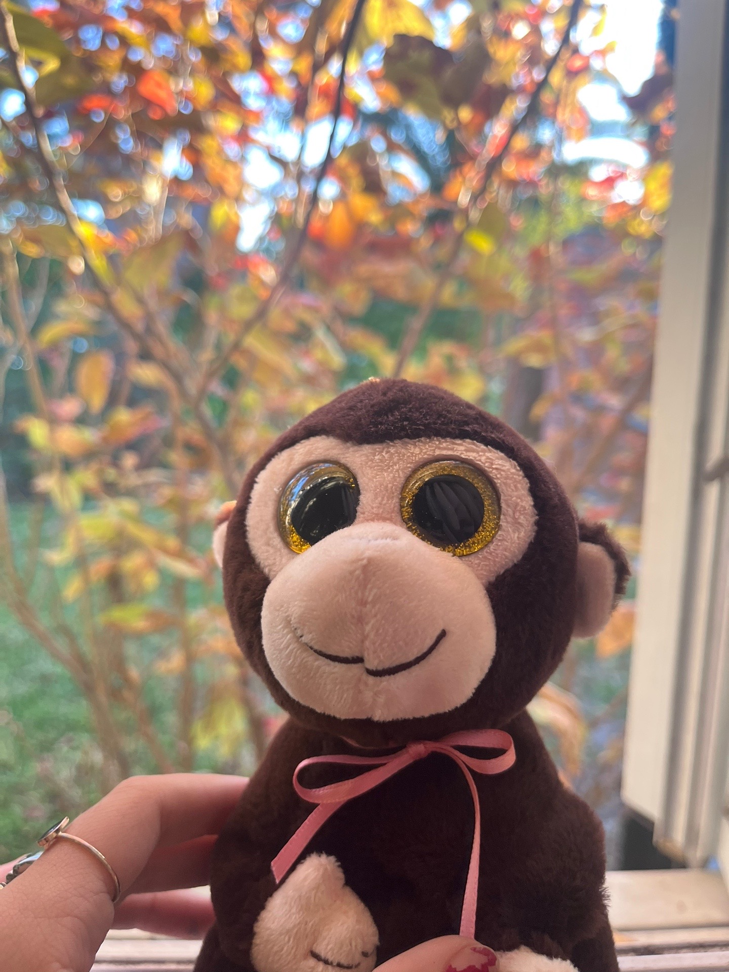 @newmonkeyy