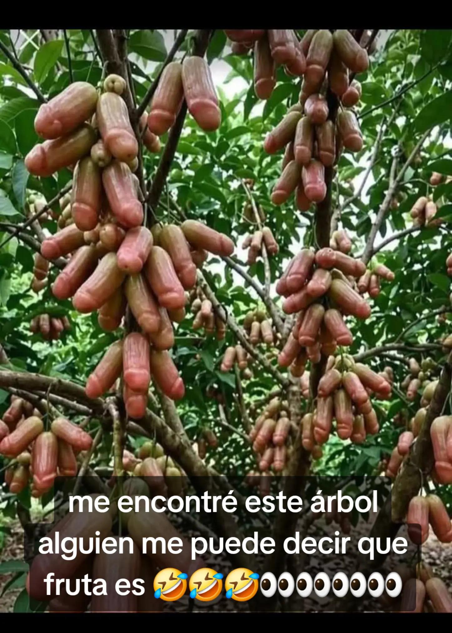 @el mil amores 🇸🇻🔥😋💖