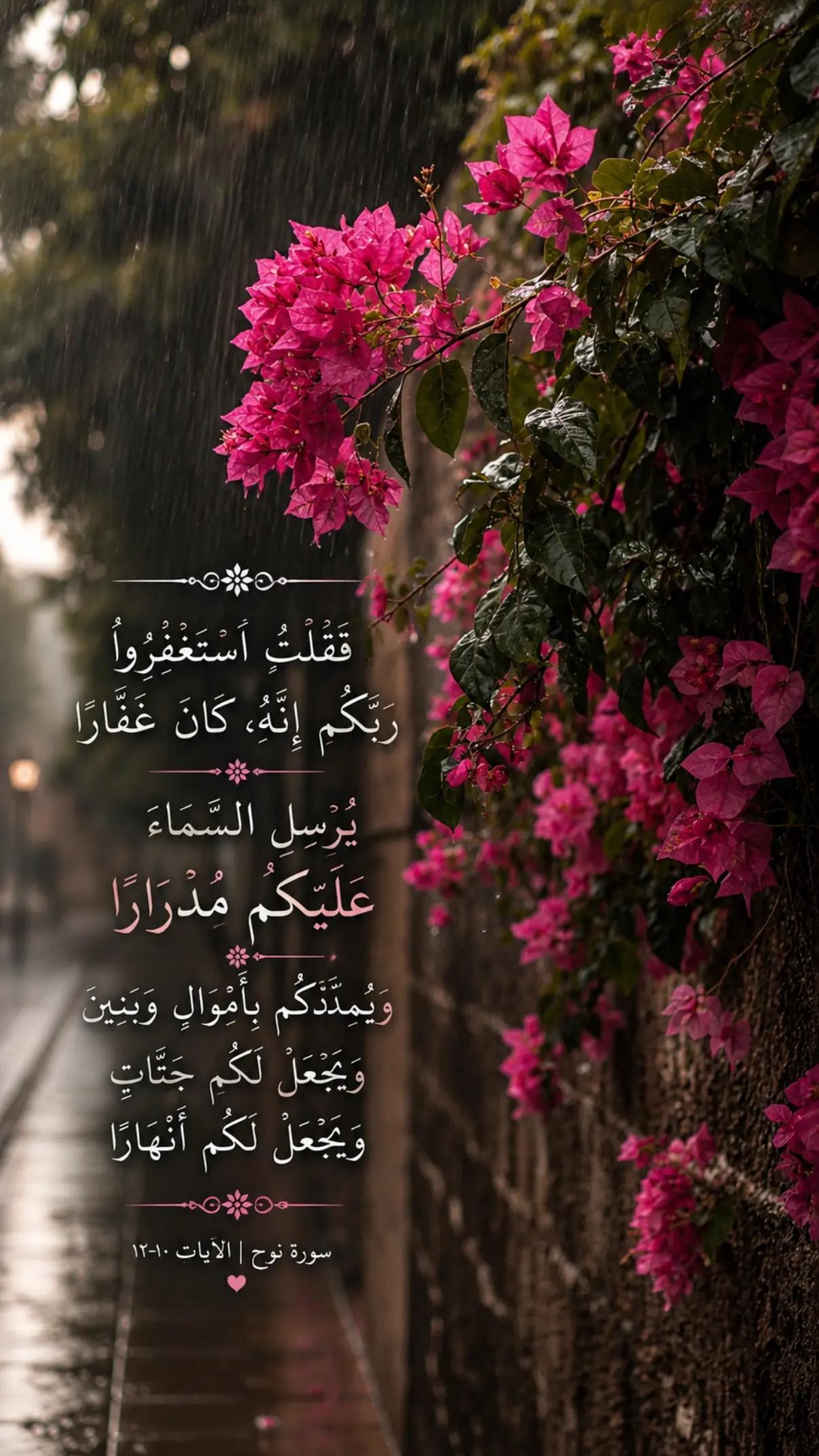 @โ๐ต๐๐๐๐๐๐โ