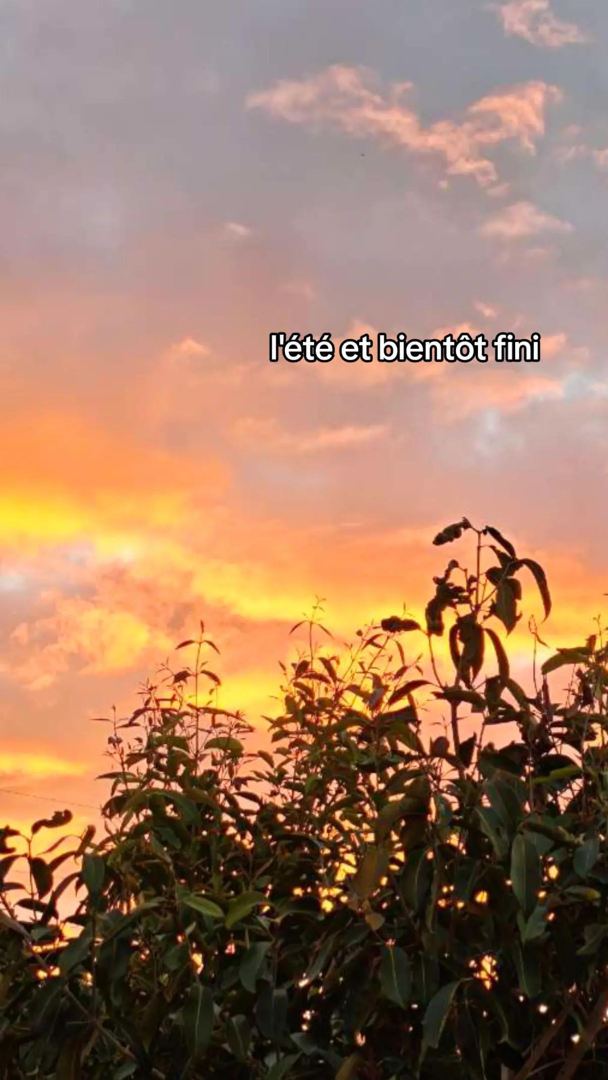 @~•°Moi_et_idream°•~
