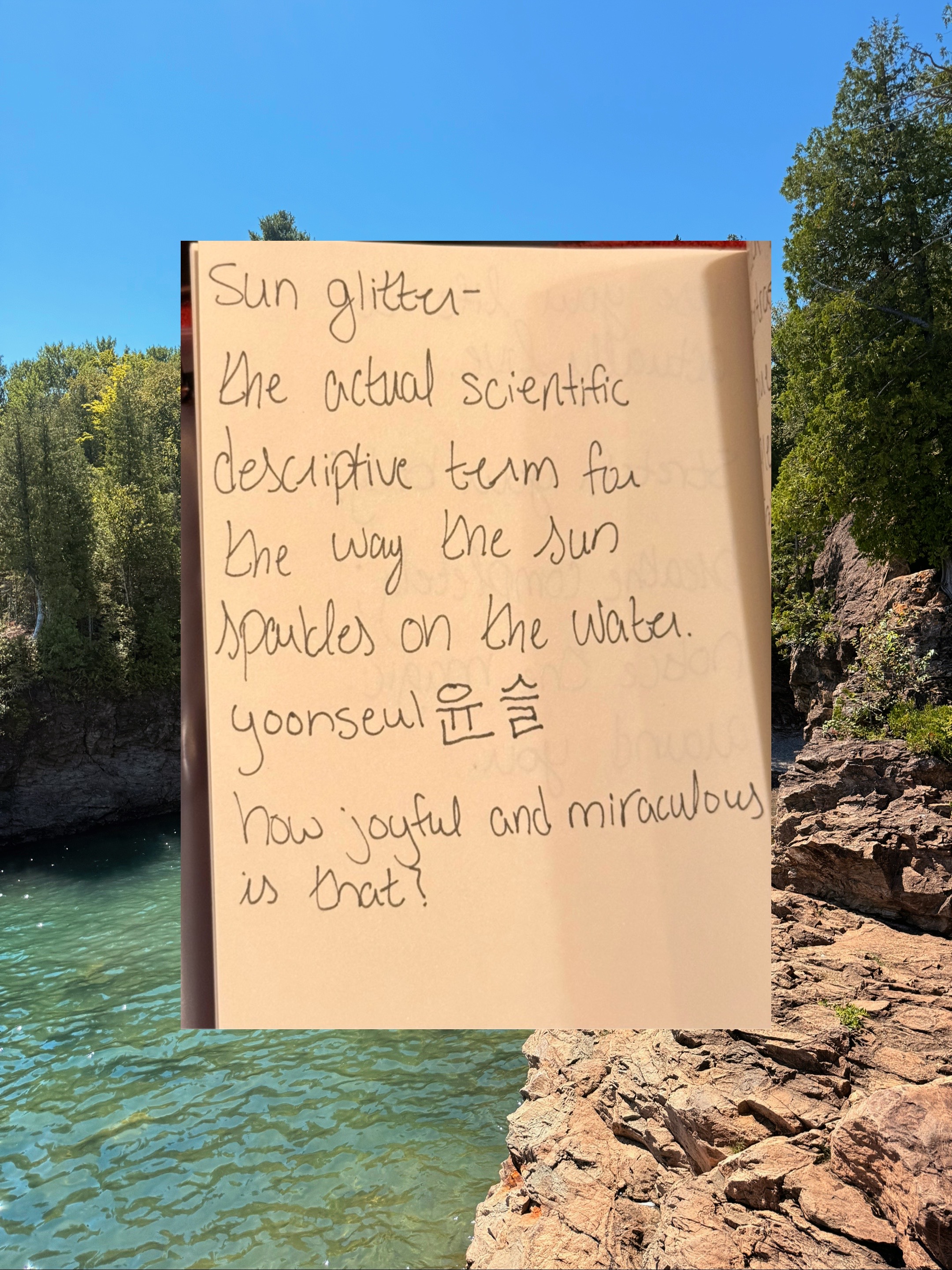 @elexia