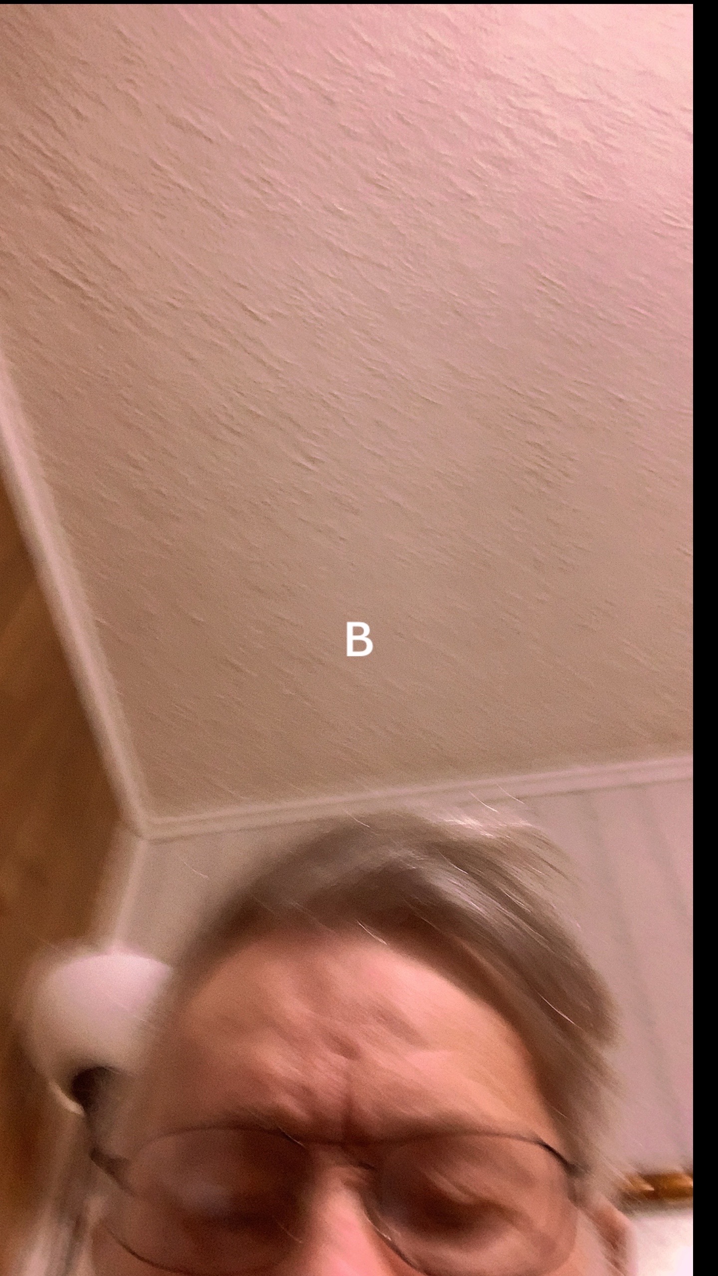 @joeBarbara46