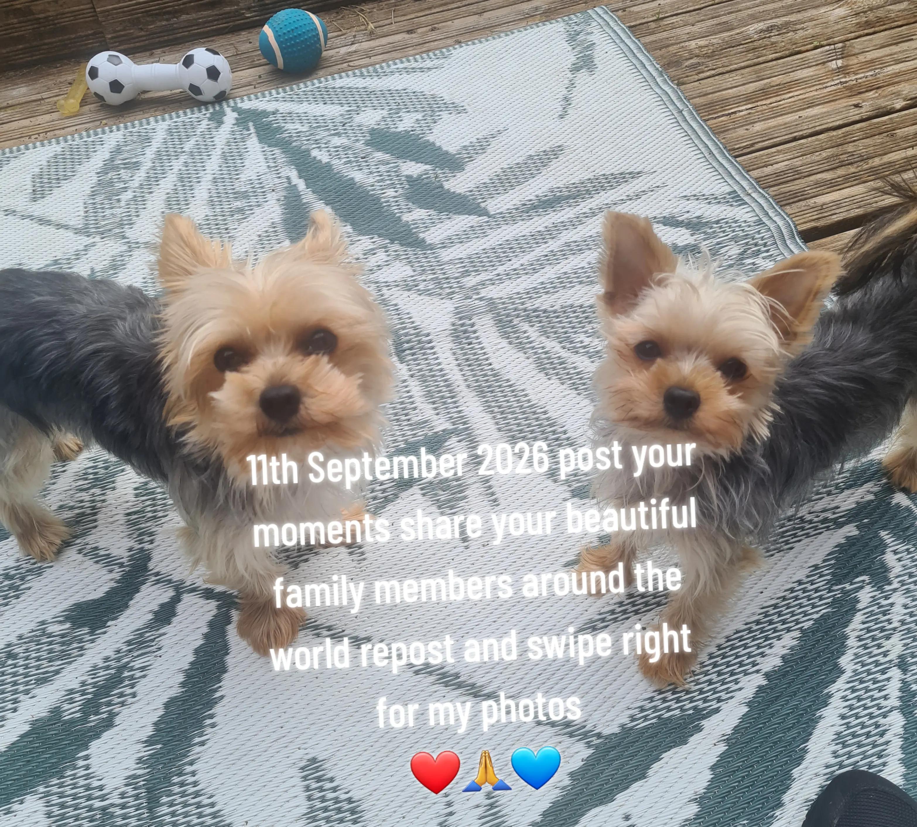 @claire🌈BellaBertErnie💙T&D