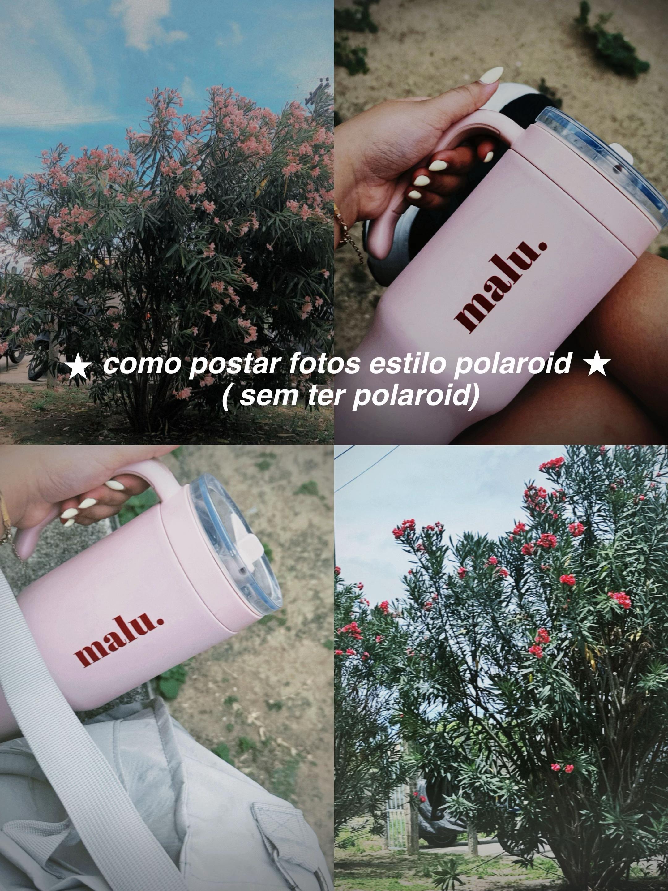 @marialuizastdaily💖