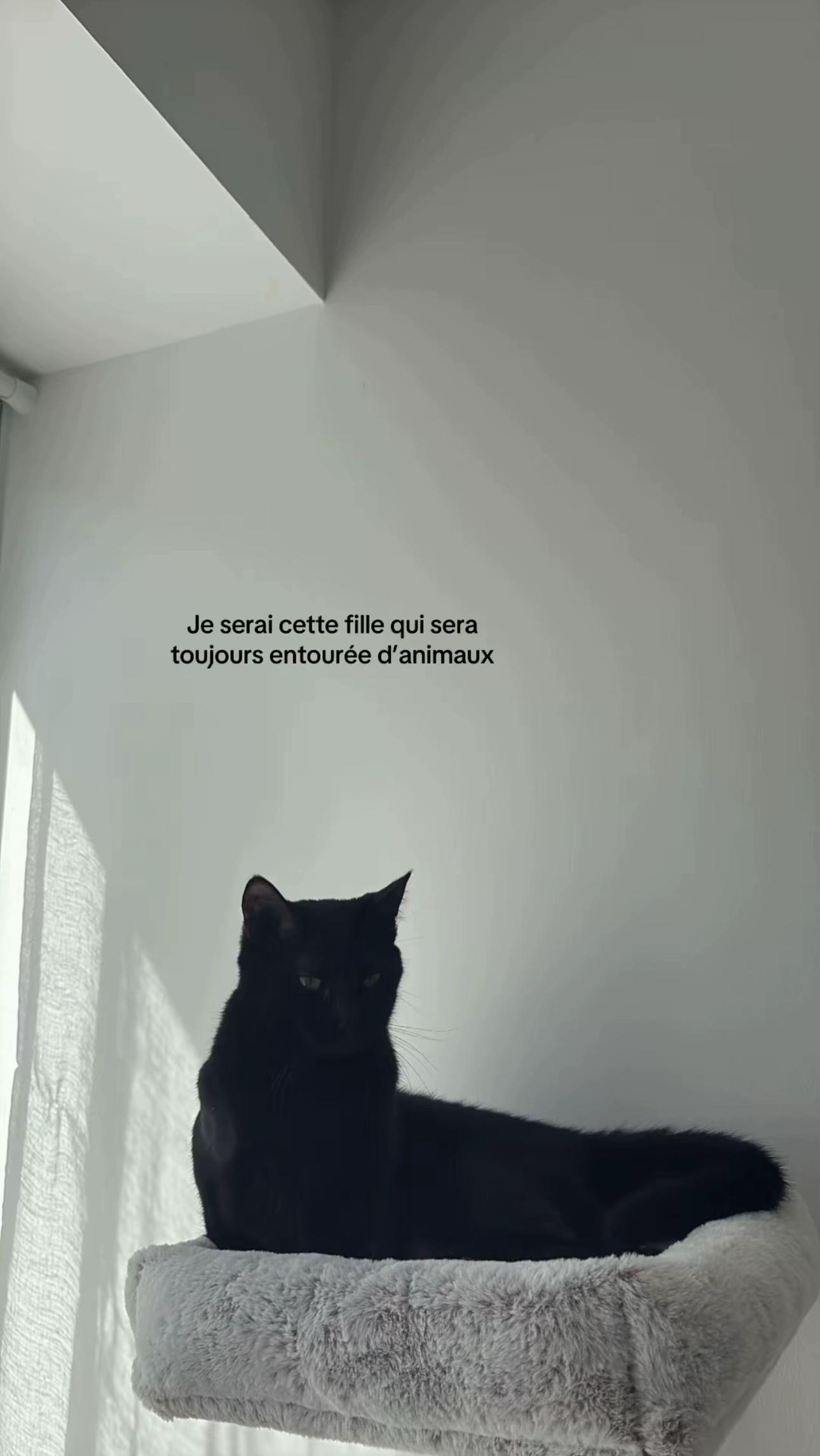 @𝖠𝖯𝖱𝖨𝖫 𝖠𝖱𝖨𝖠 𝖡𝖠𝖧𝖨𝖠