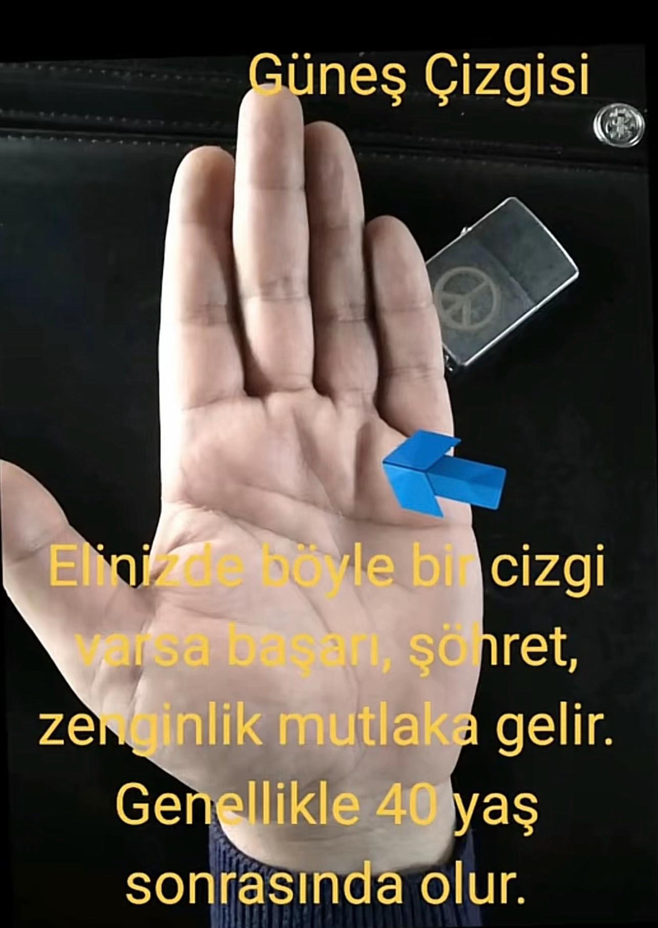 @Fizyomonist .Berk