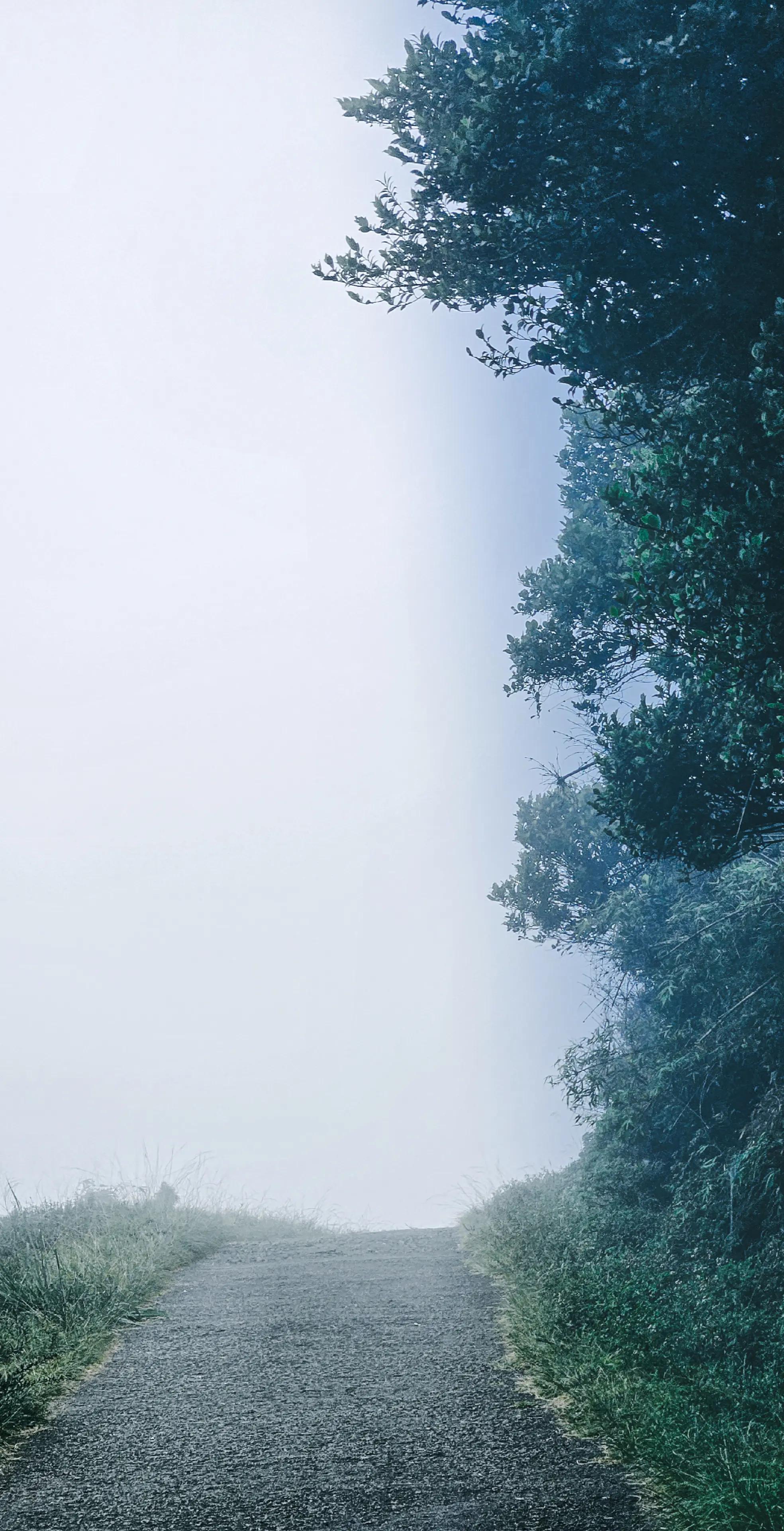 @𝘒𝘢𝘻𝘶𝘸𝘢🍃