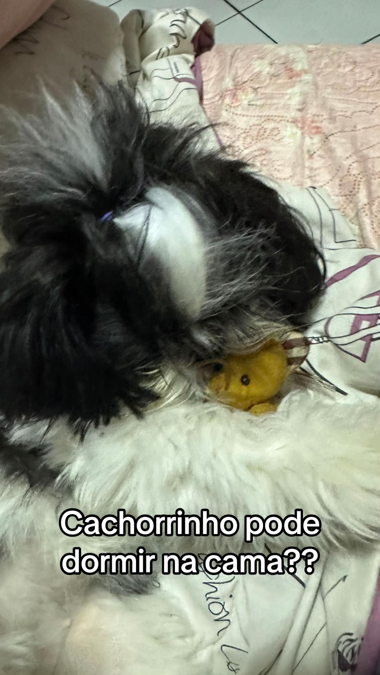 @Mafezinha