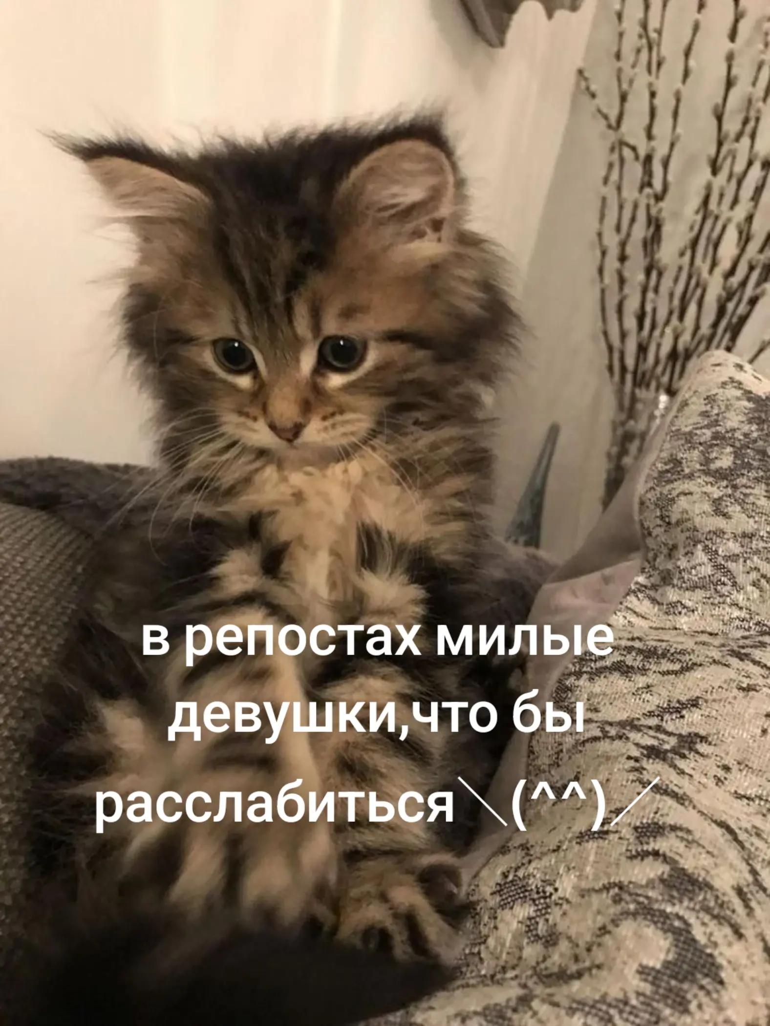 @ЧЕК REПOСТЫ🔥