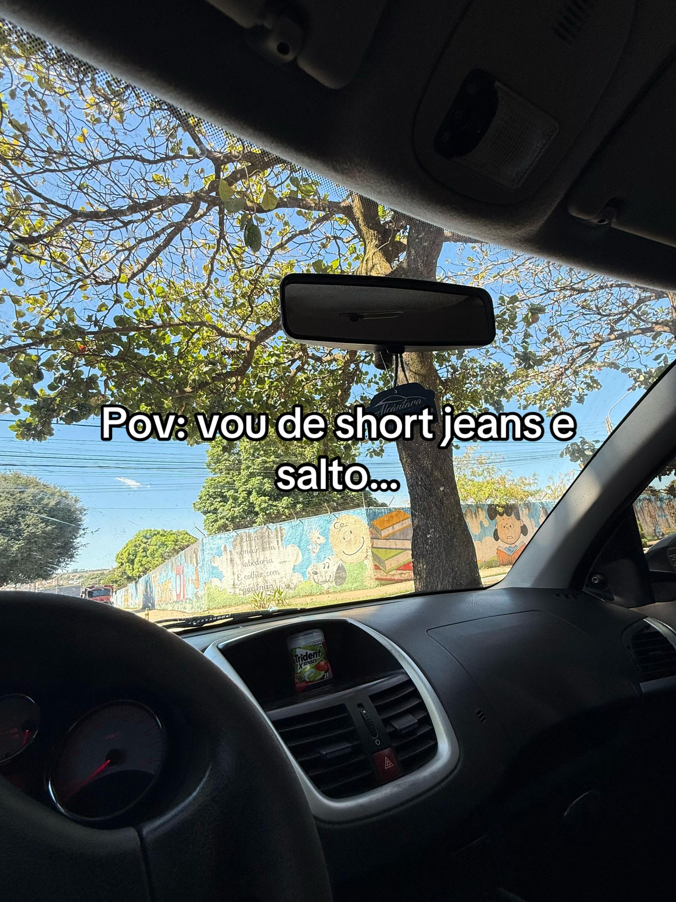 @Carol Simoes