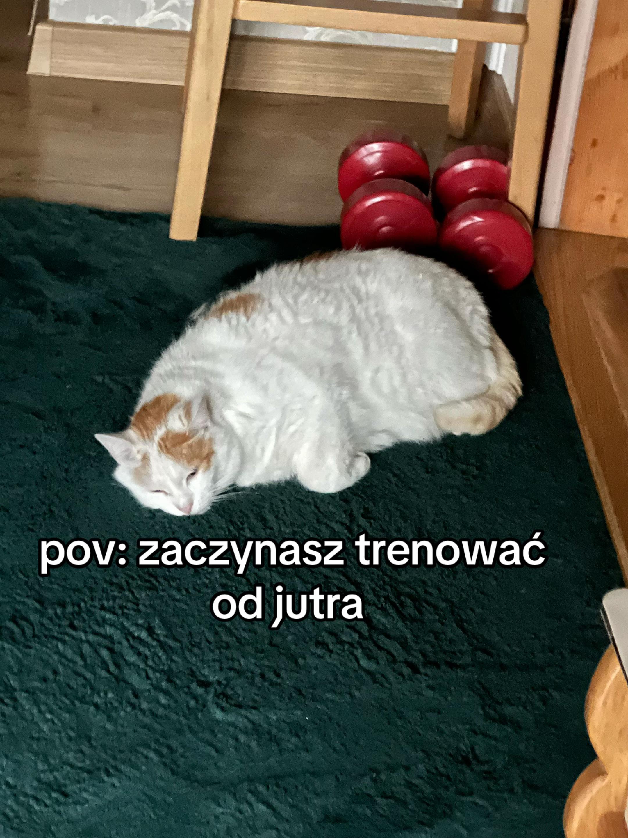 @latkamk