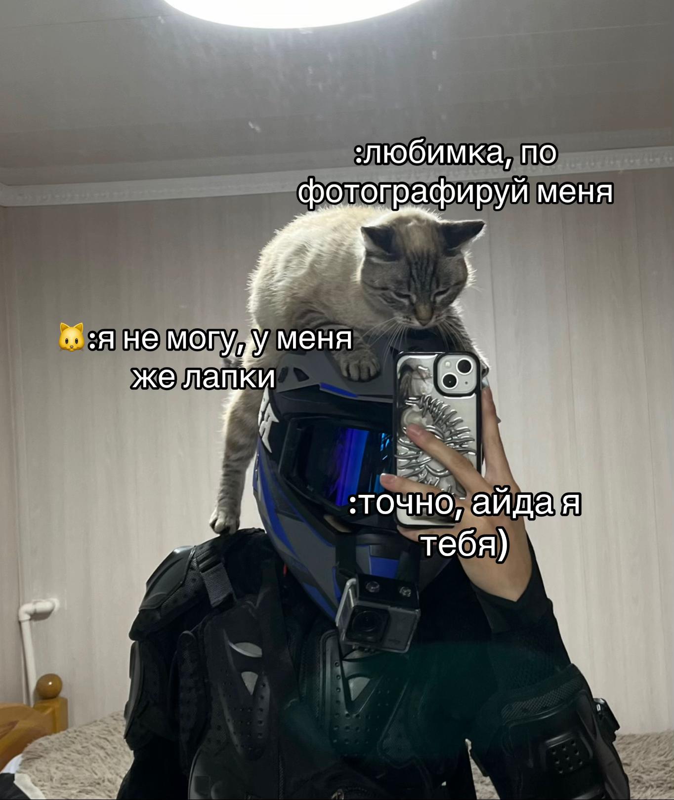 @SharmaxQueen