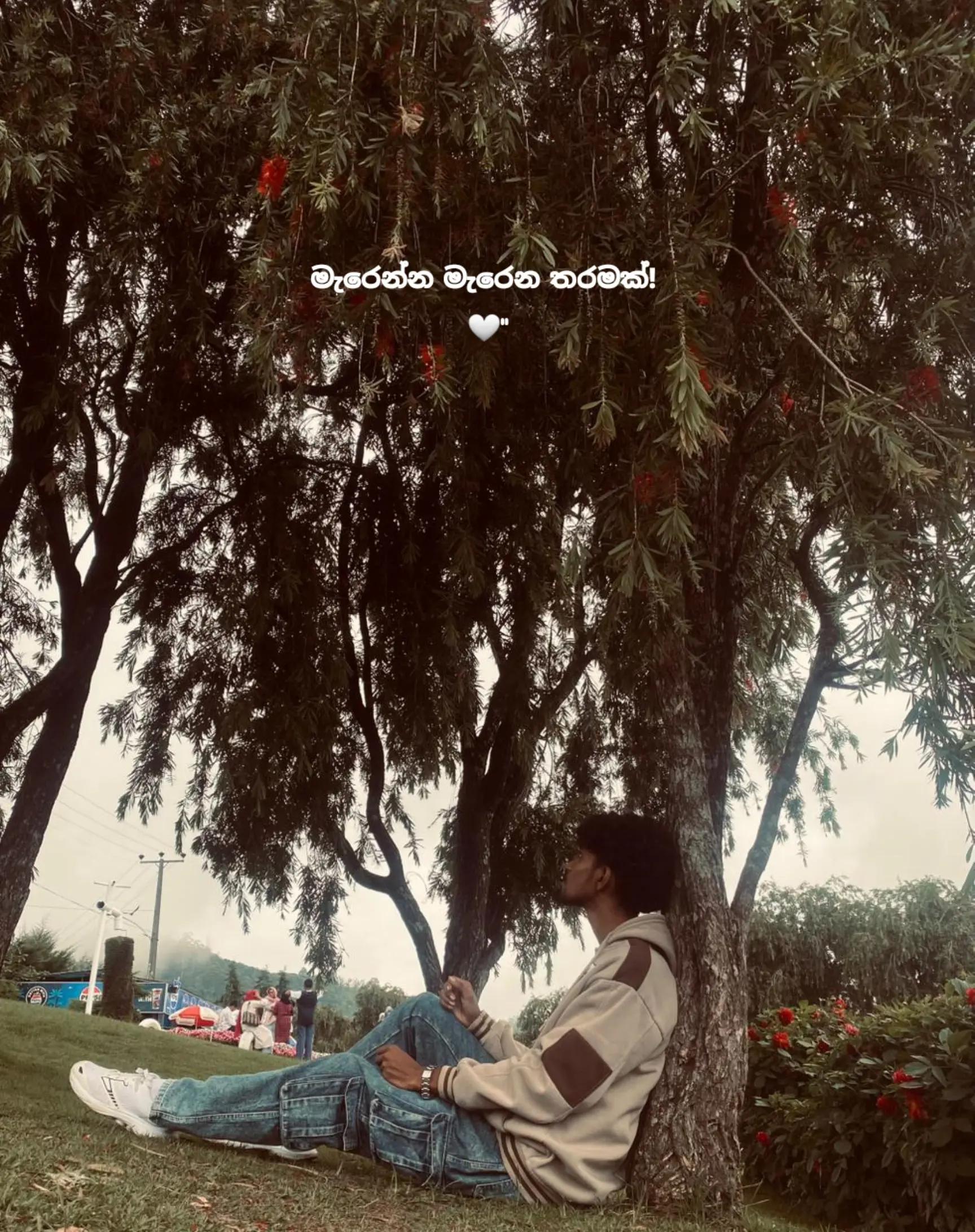 @Anu_Haz 🥂🤍"