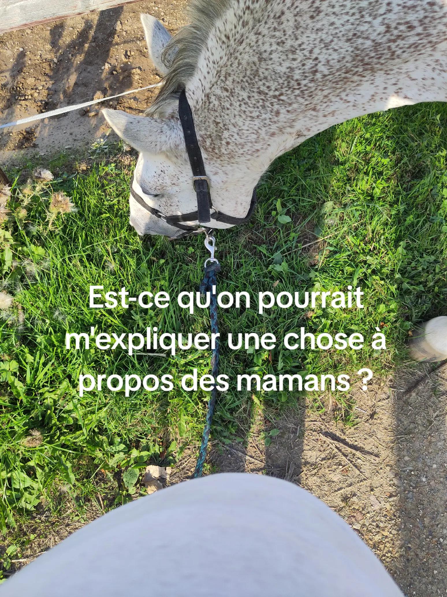 @mathilde🦄