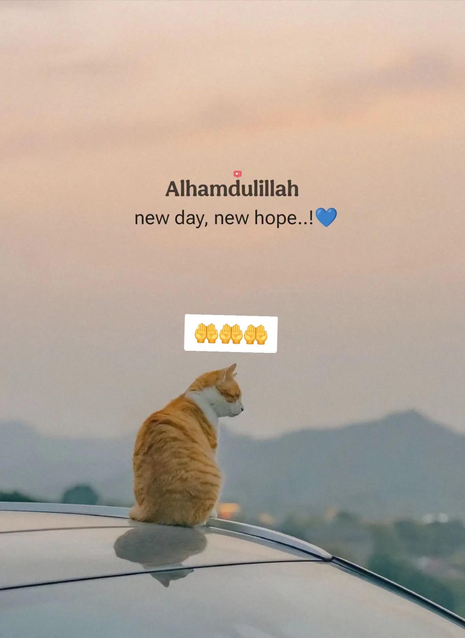 @💙NAOUAL💙