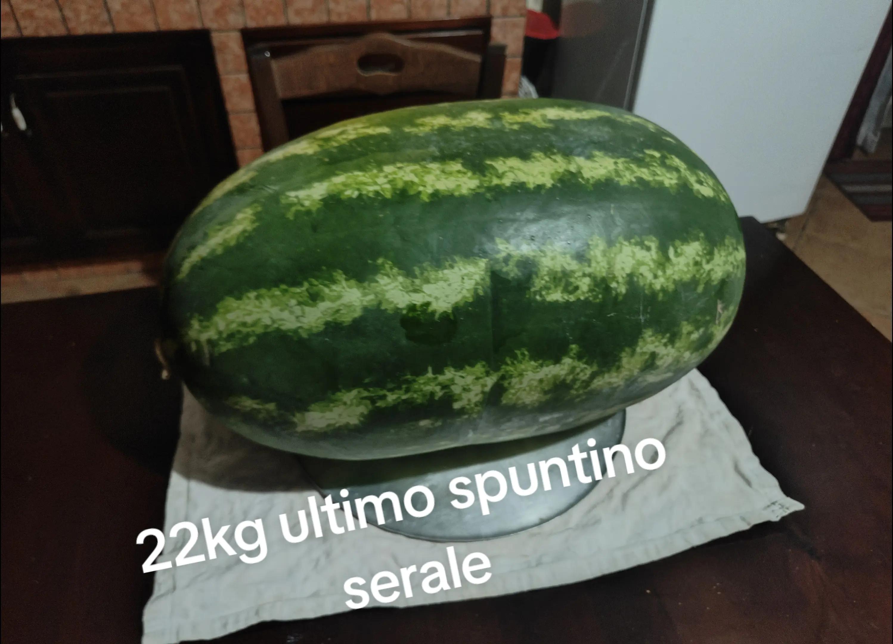 @Antonio Ferrante