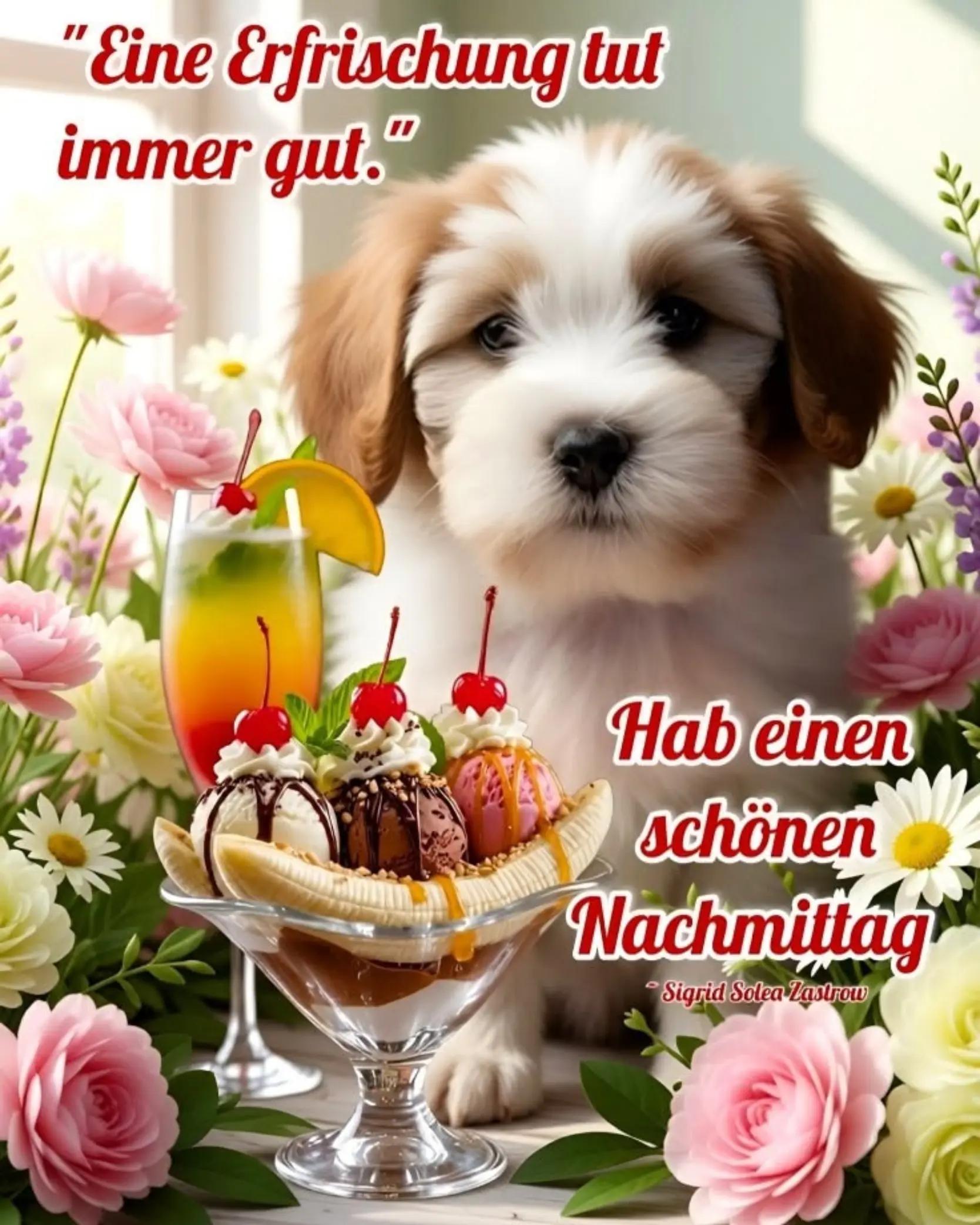 @schnucki7