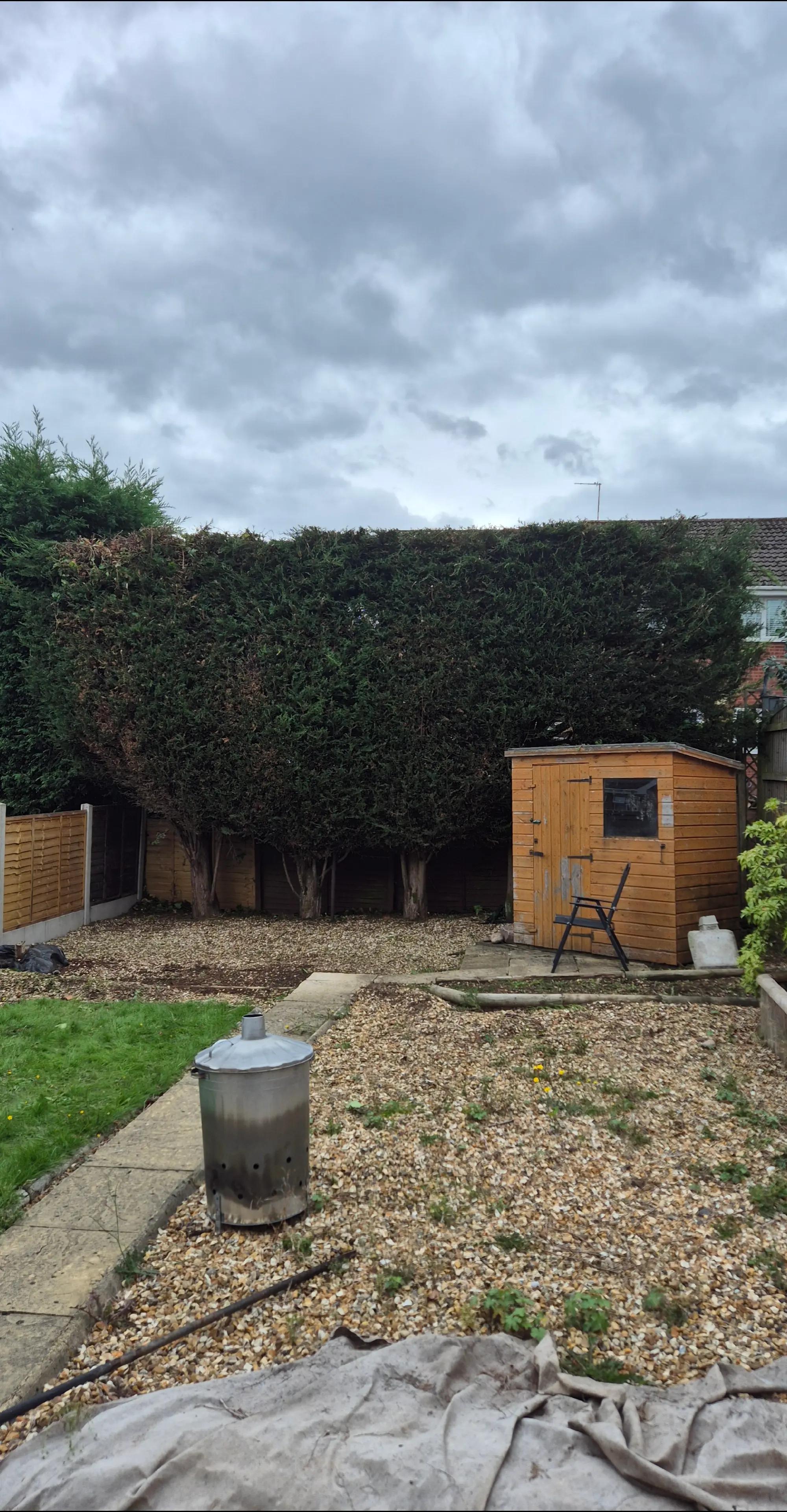 @AMC Garden Services