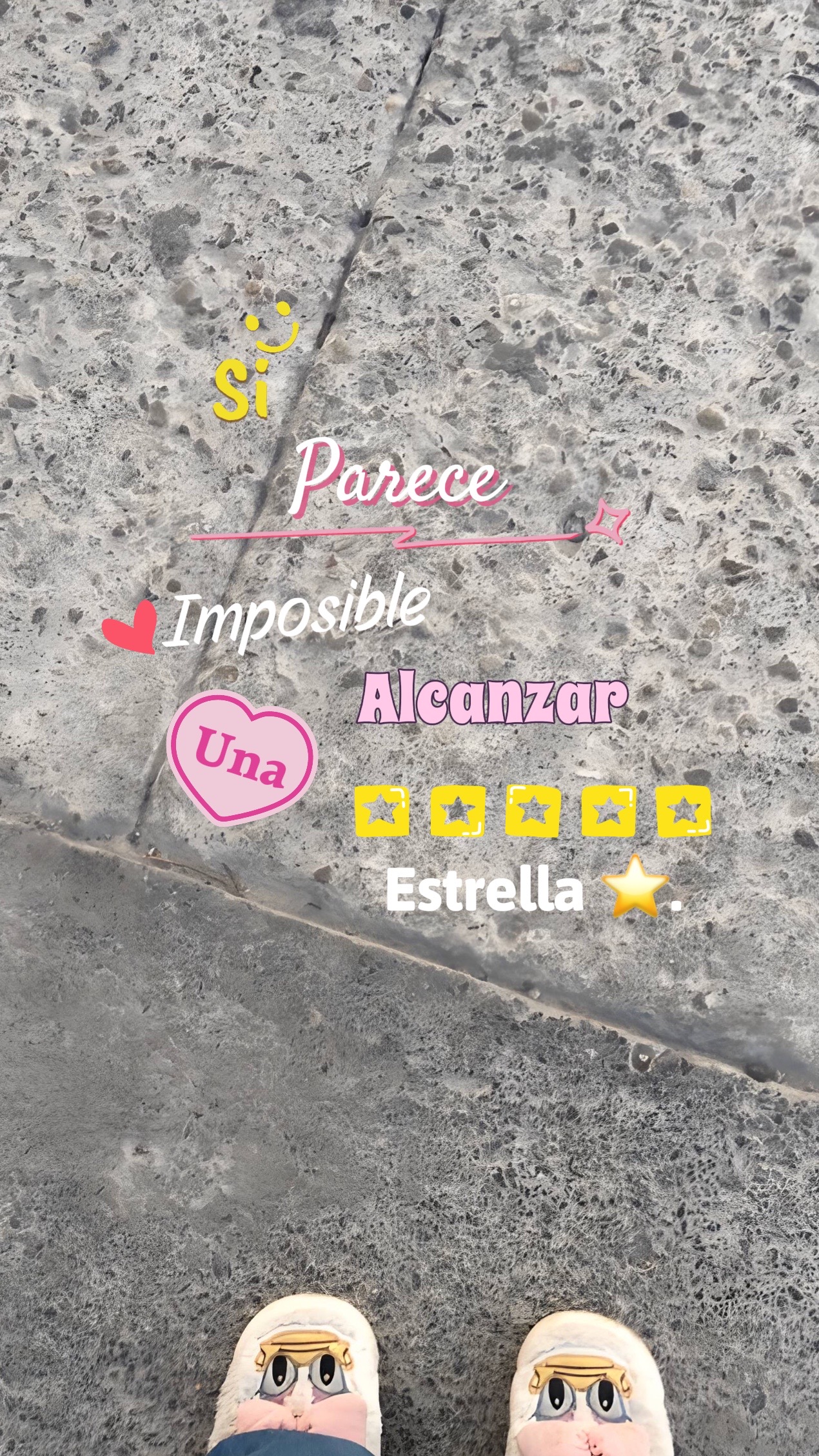 @ꫂ᭪ ִ   𝓪𝓷𝓲𝓲 ⭐️ ⋆