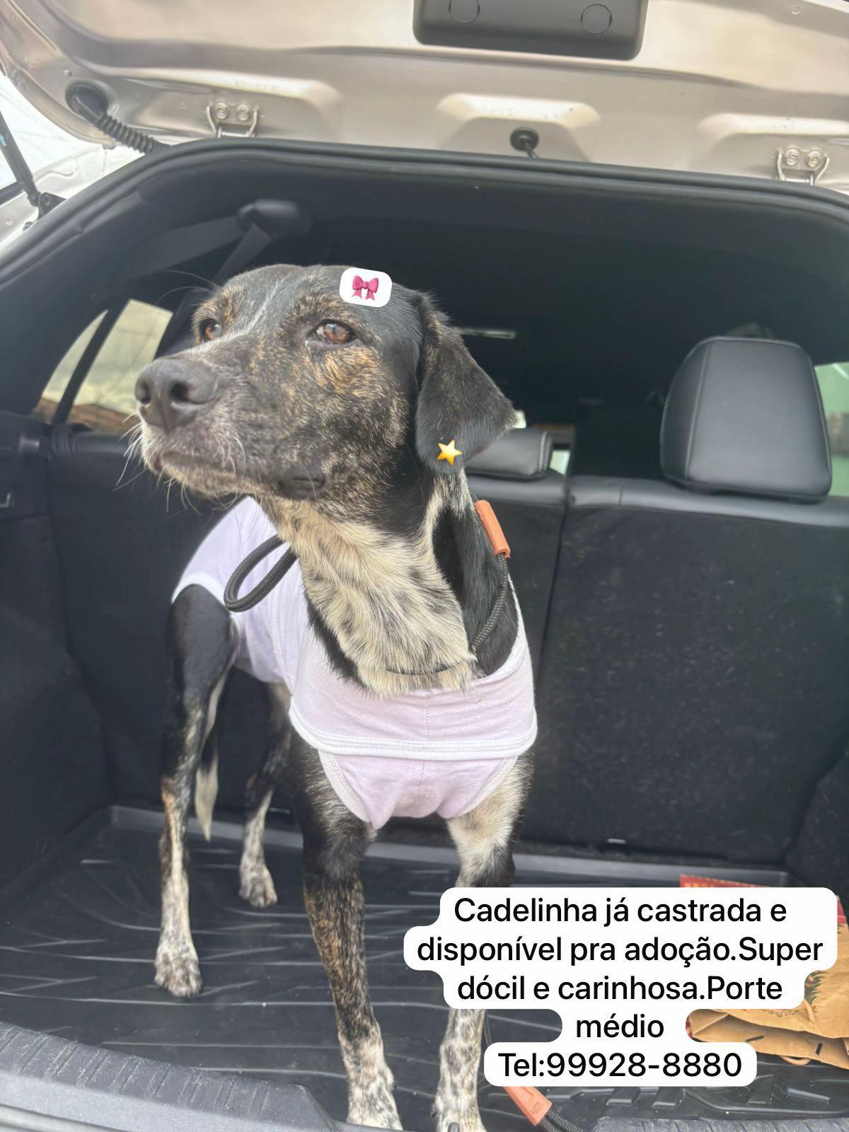 @Catarina Oliveira