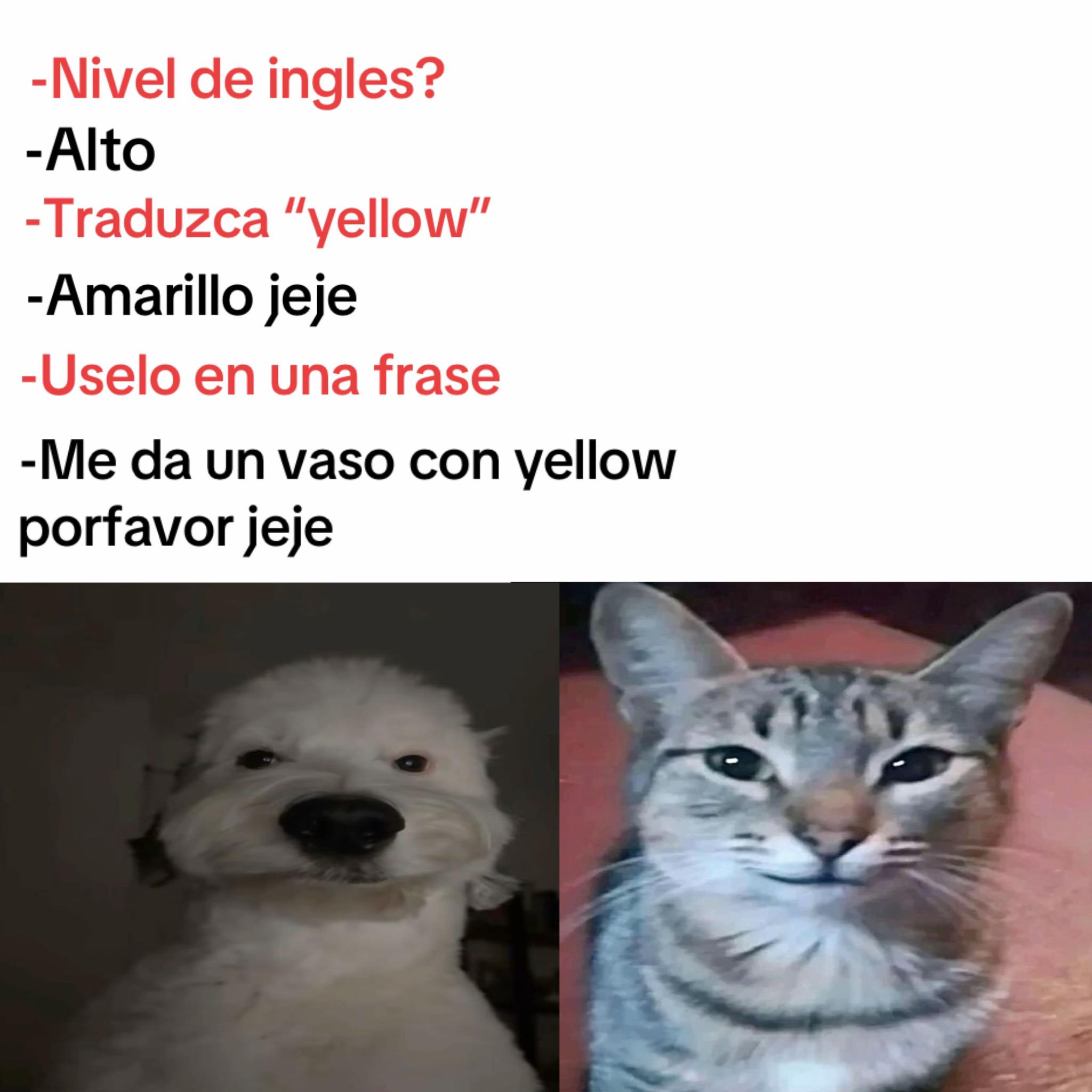 @momazosnegromarronjeje