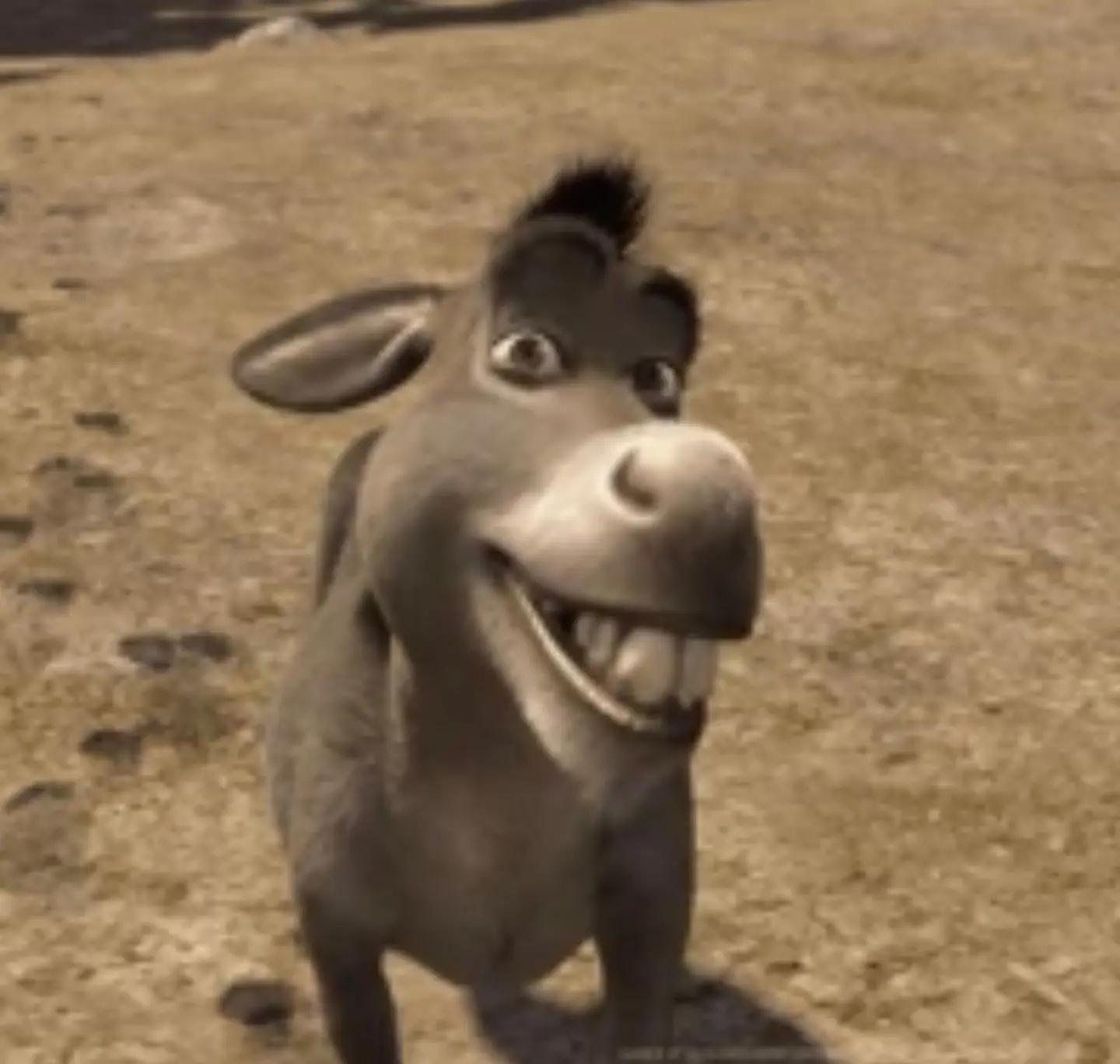 @zosia