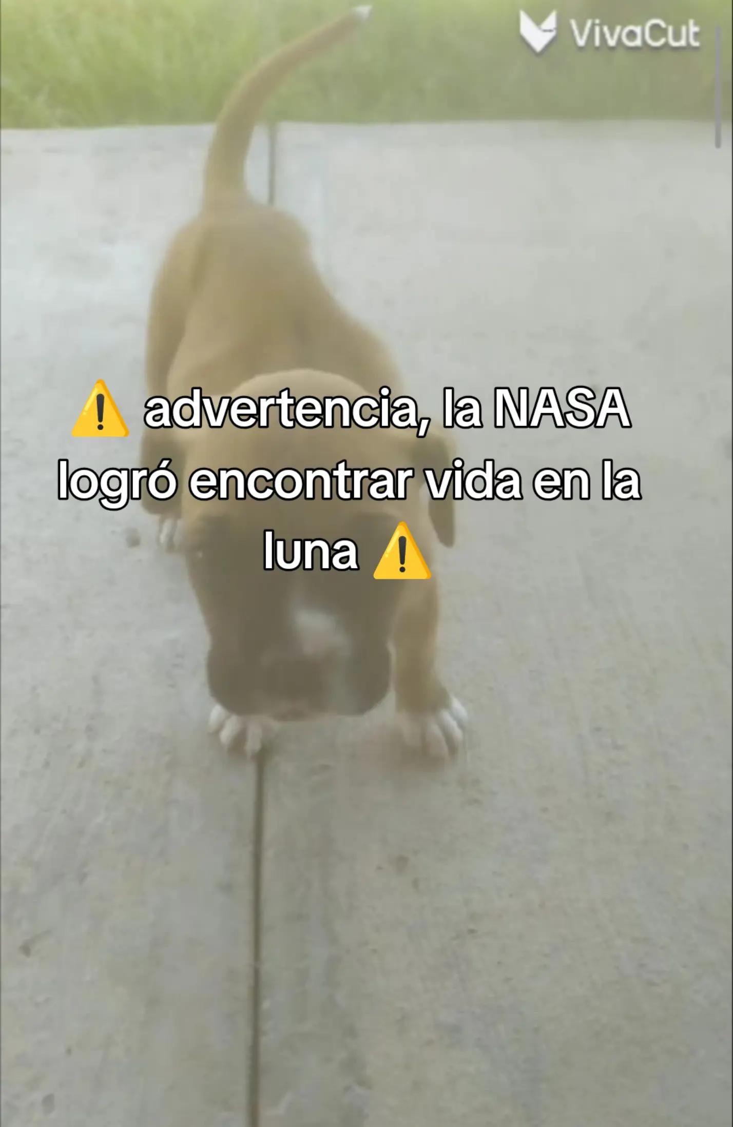 @꧁༒☬𝓙𝓞𝓢𝓤É☬༒꧂
