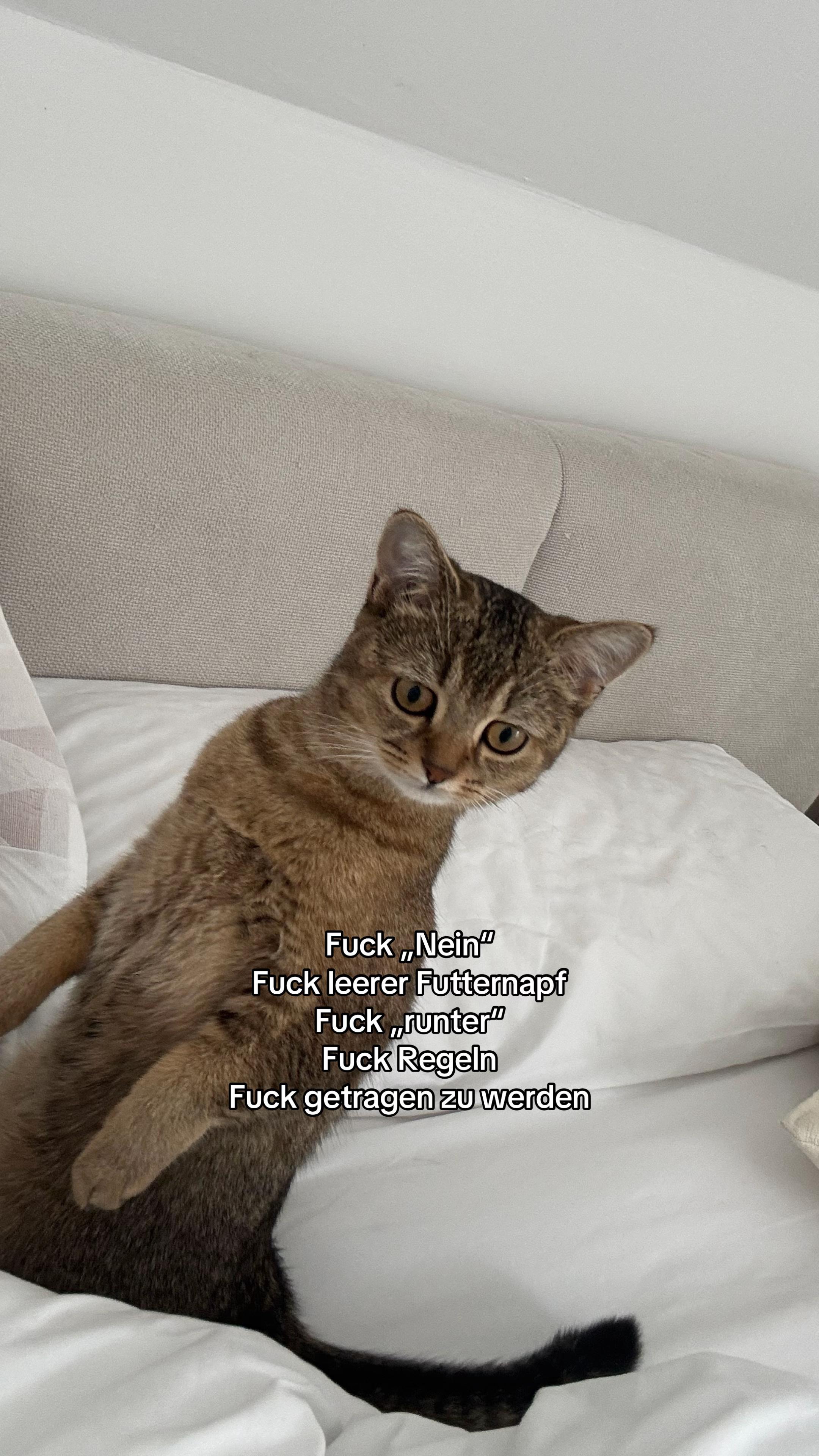 @Lisa