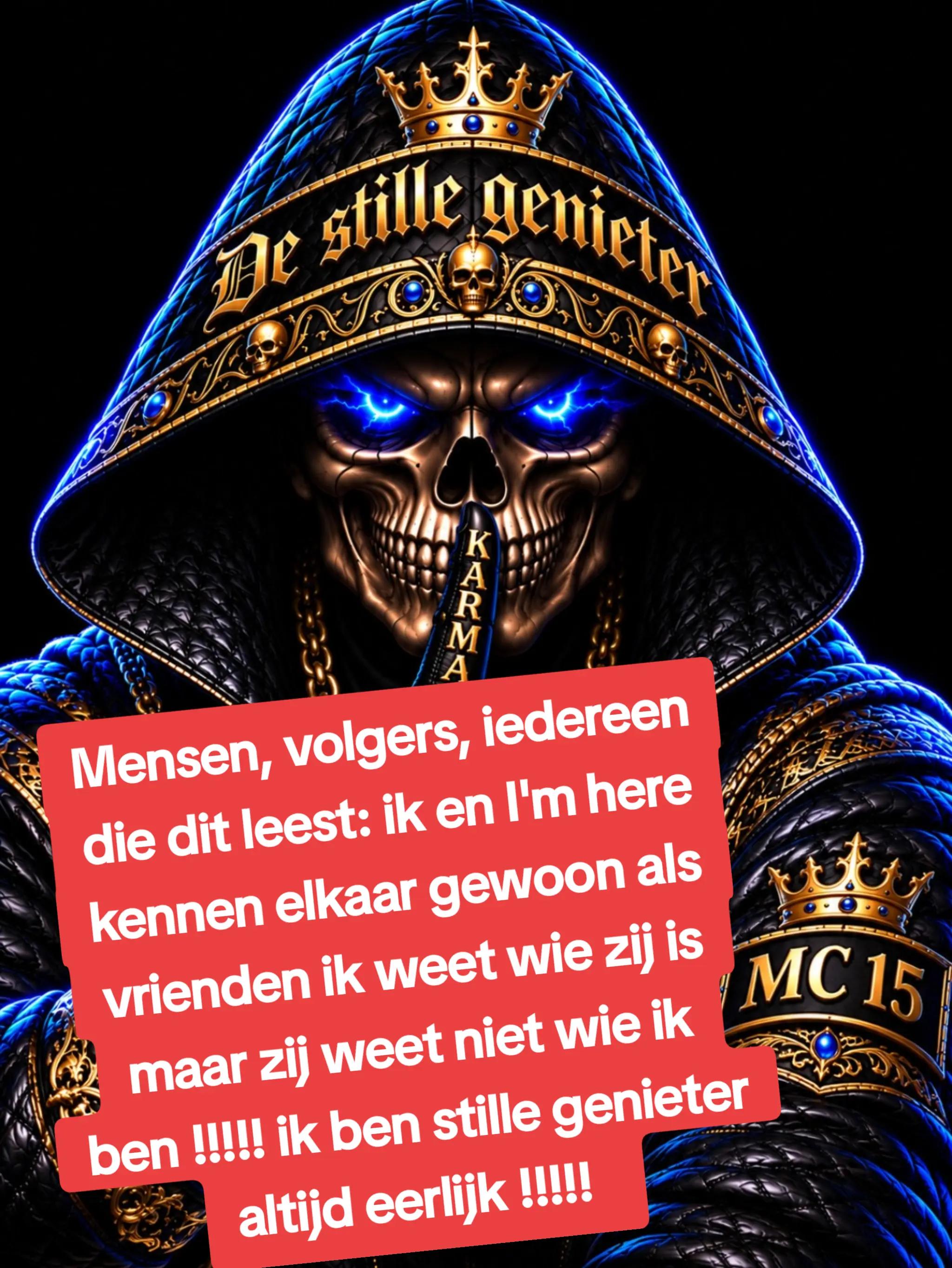 @DE STILLE GENIETER