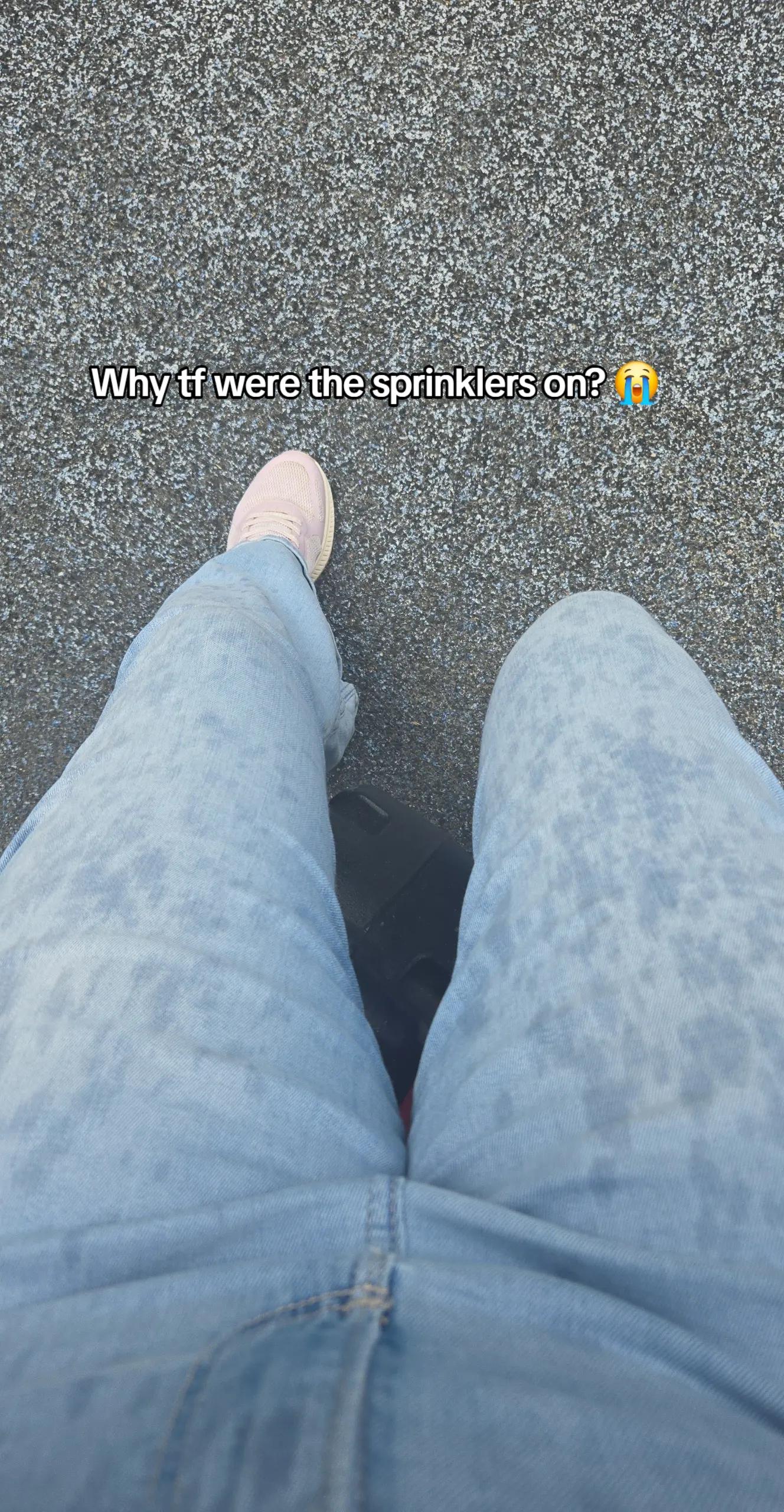 @🩵bluesockmonkey🩵
