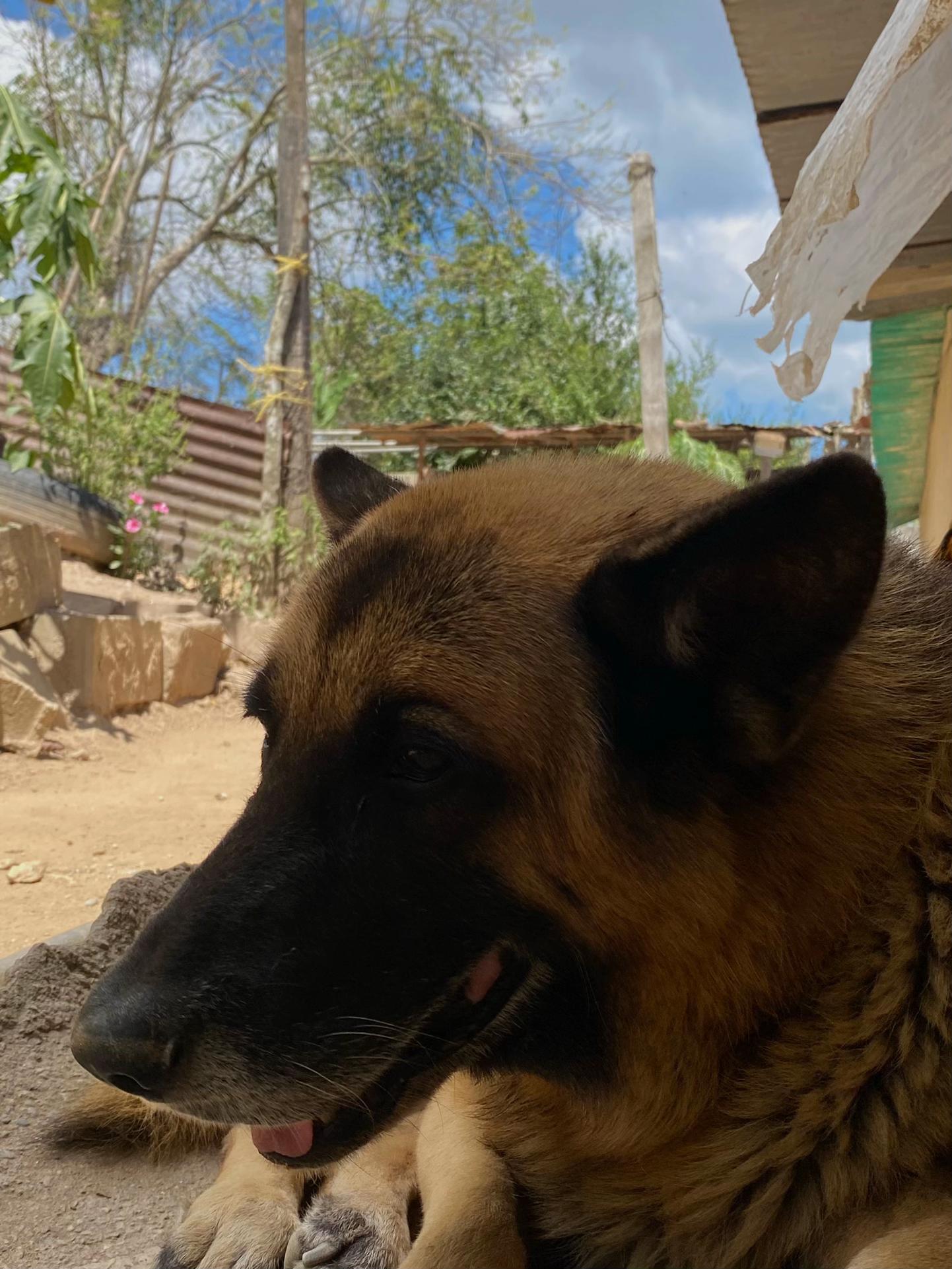 @Emily